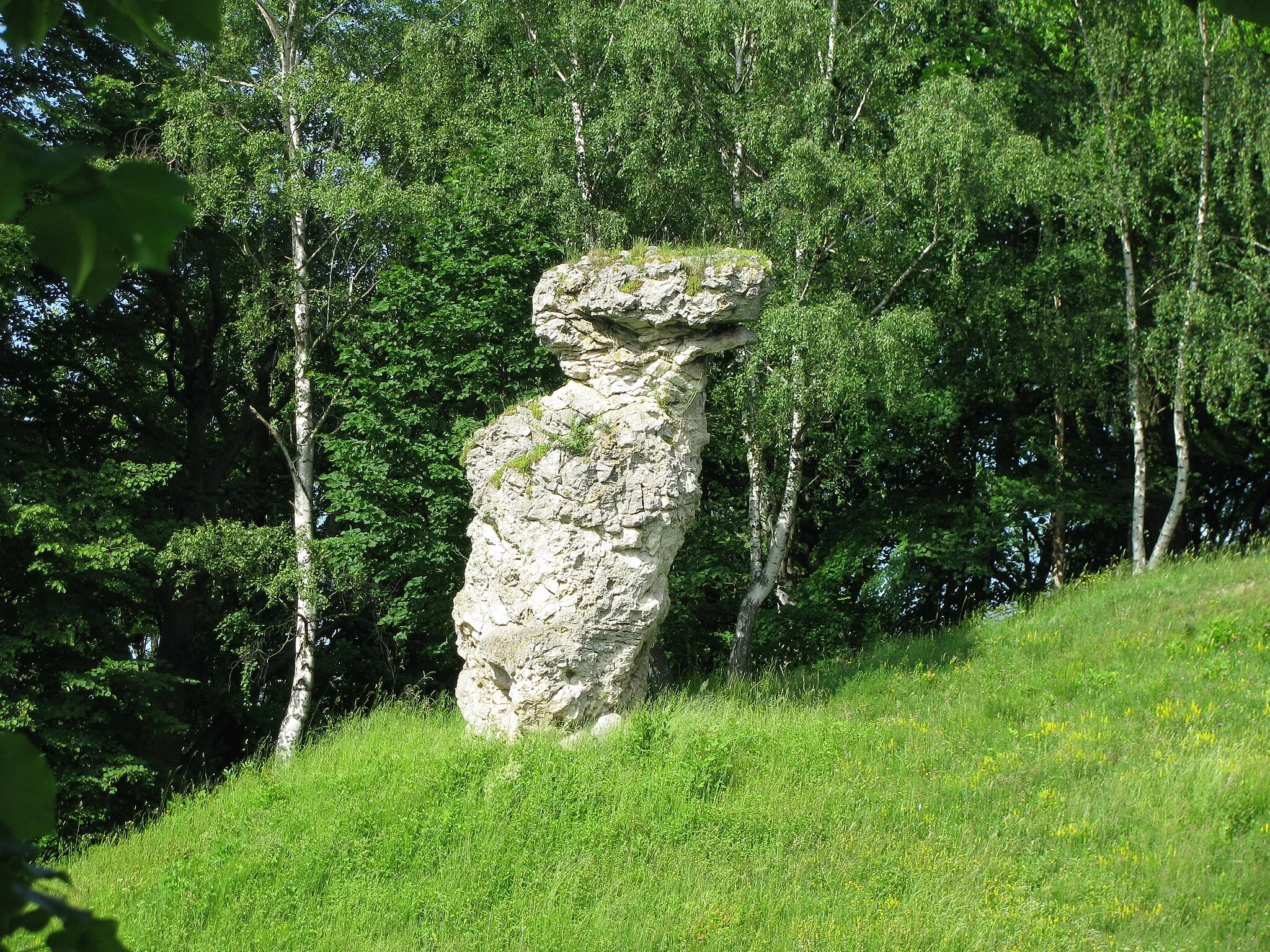 Photo showing: der Todstein bei Abterode ist ein Fels aus Kalkstein