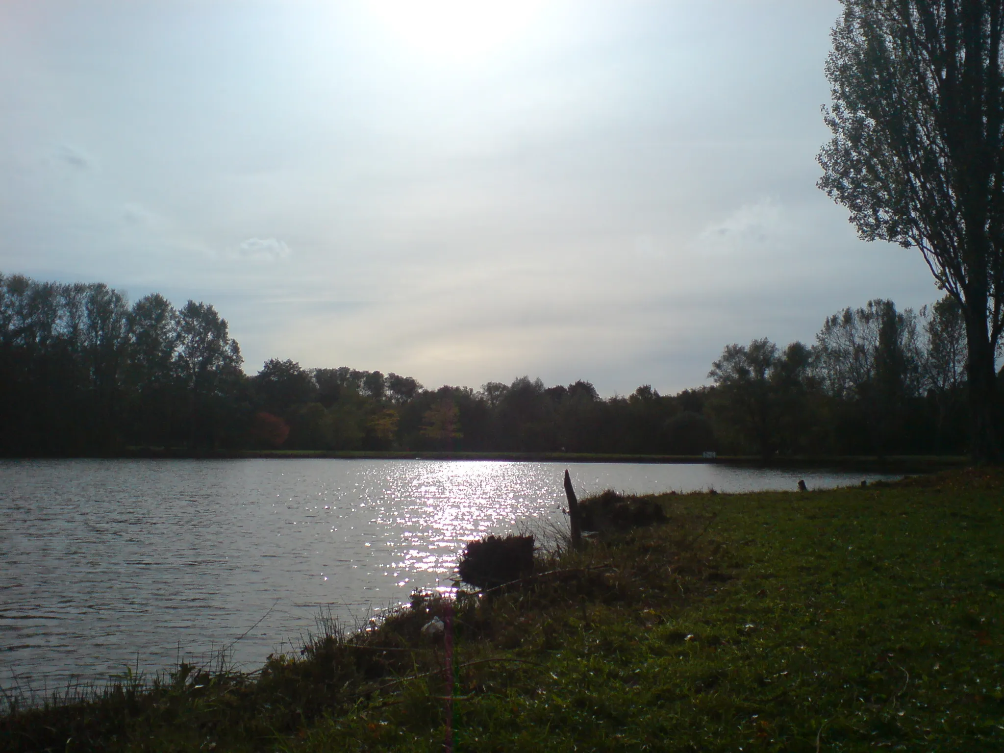 Photo showing: Blick vom Nordufer auf das Naturschutzgebiet