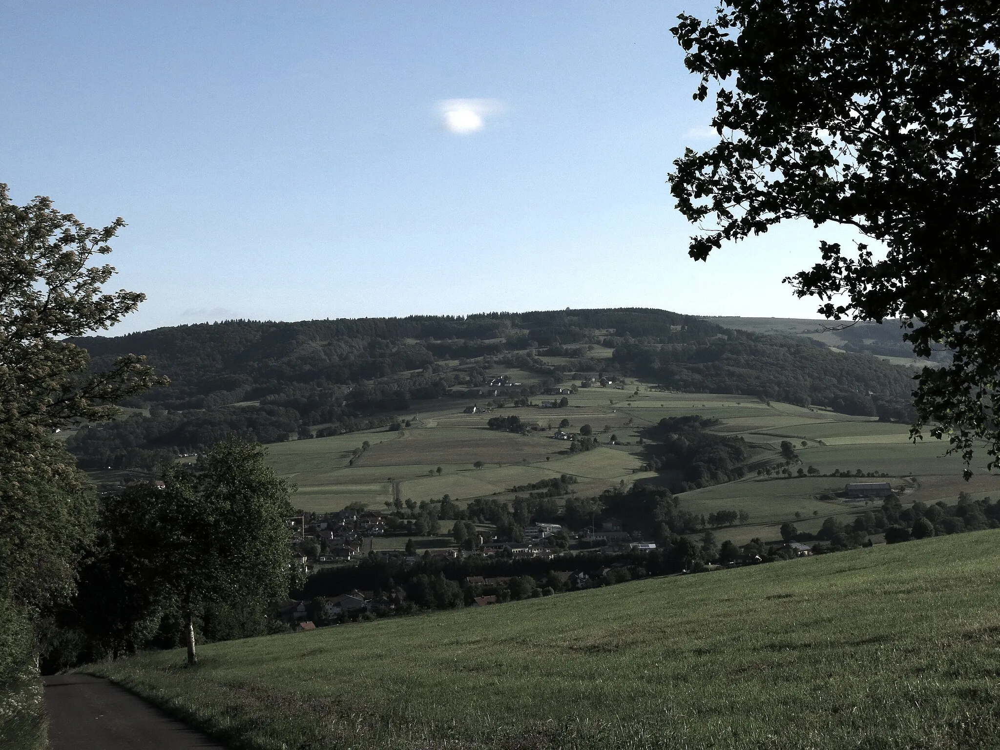 Photo showing: Blick auf den Eubeberg von Süden (im Vordergrund Gersfeld)