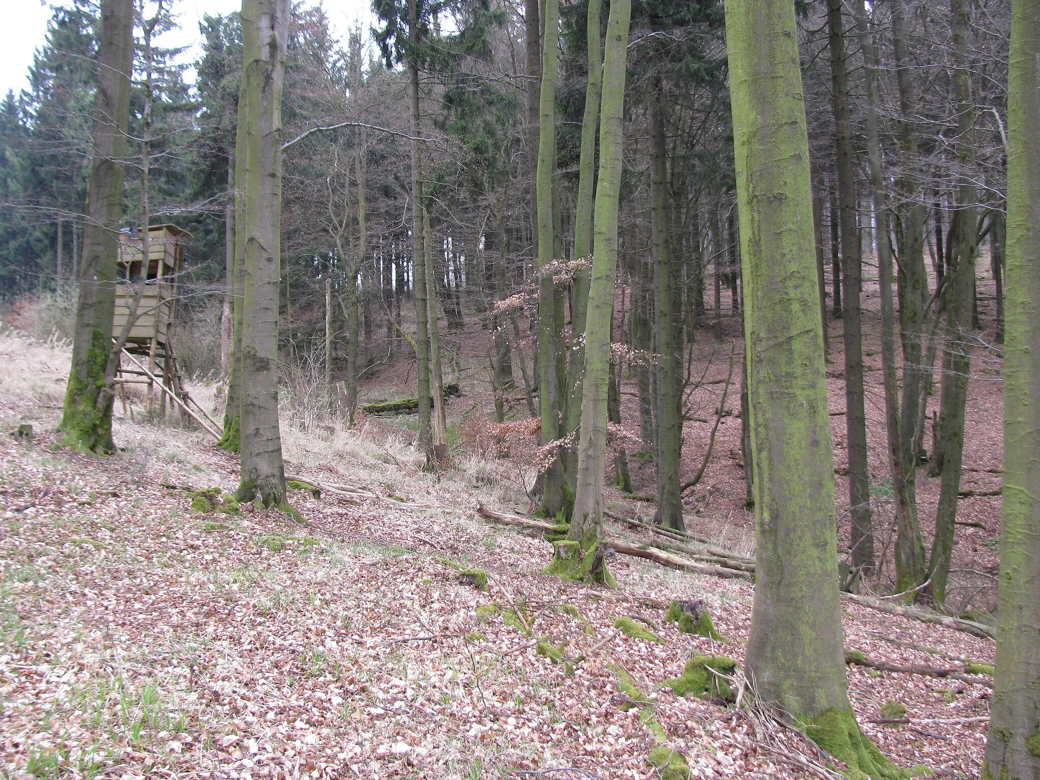 Photo showing: der Erlebach unterhalb vom Essigberg