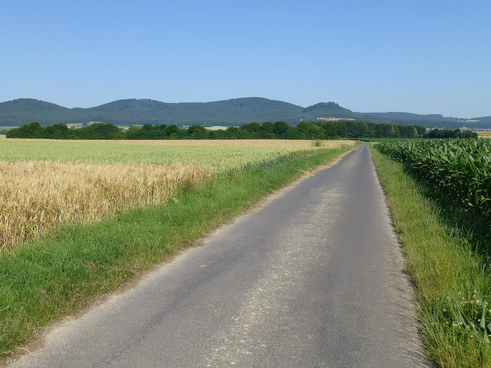 Photo showing: Blick von einem Fahrweg bei der Grillhütte Hertingshausen (am Hertingshausener Bach, nahe Kreisstraße 22) westnordwestwärts zu den Langenbergen: Bensberg (links), Laufskopf (mittig links), Schwengeberg (mittig rechts) und Burgberg (rechts)