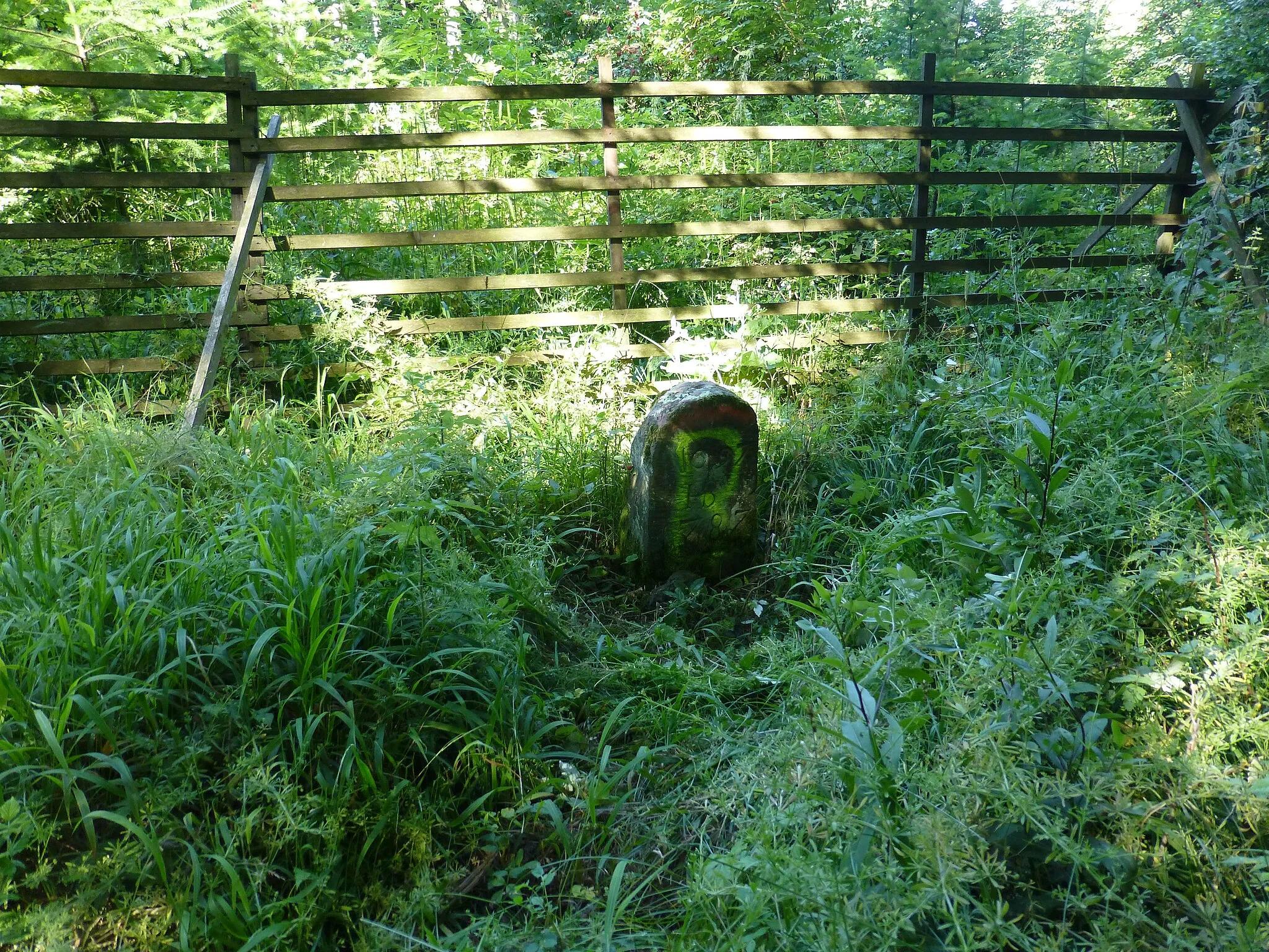 Photo showing: Hutestein im Gipfelbereich des Schwengebergs