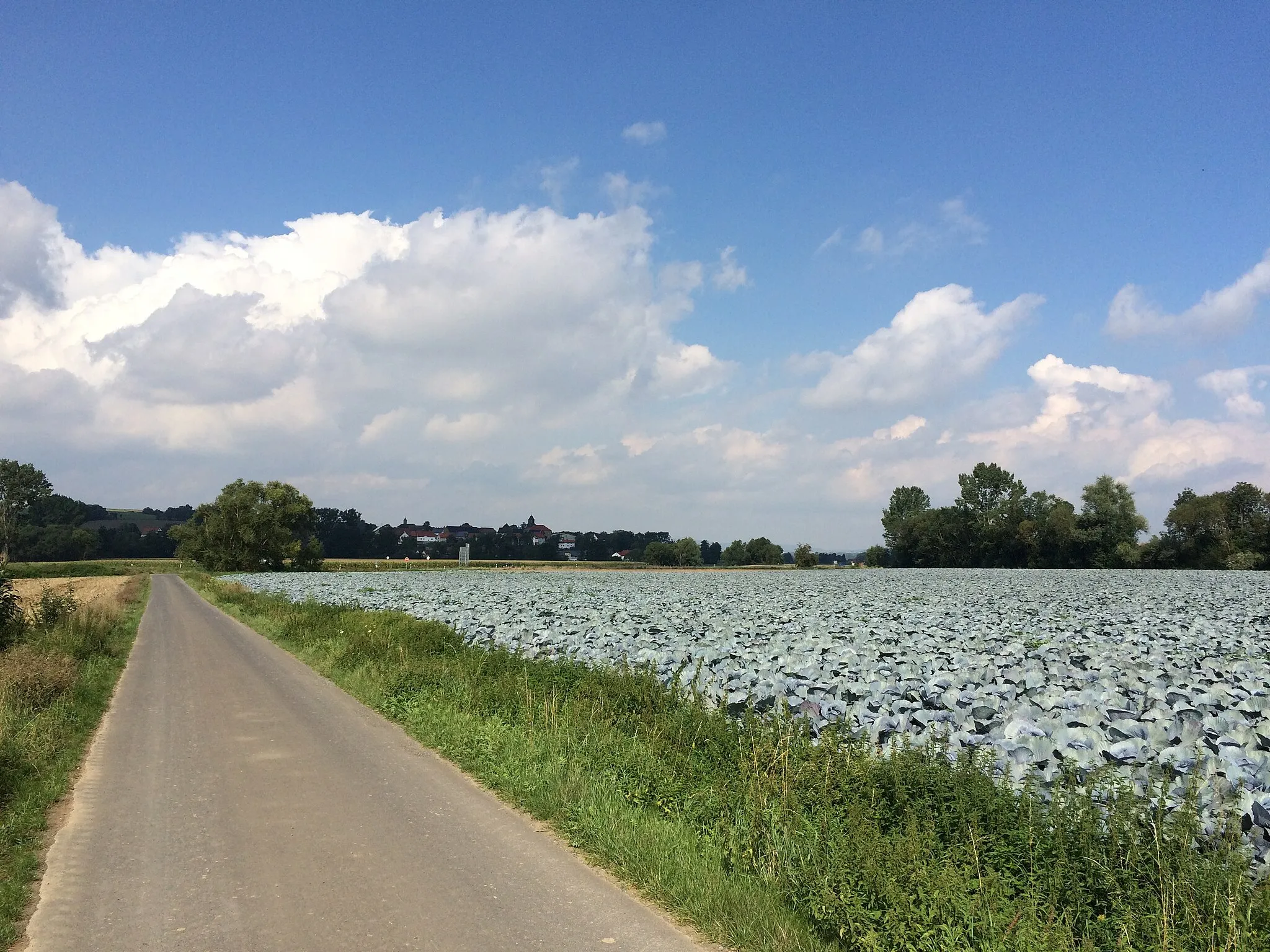 Photo showing: Schwalm-Efze-Weg (R 14) zwischen Berge und Mardorf