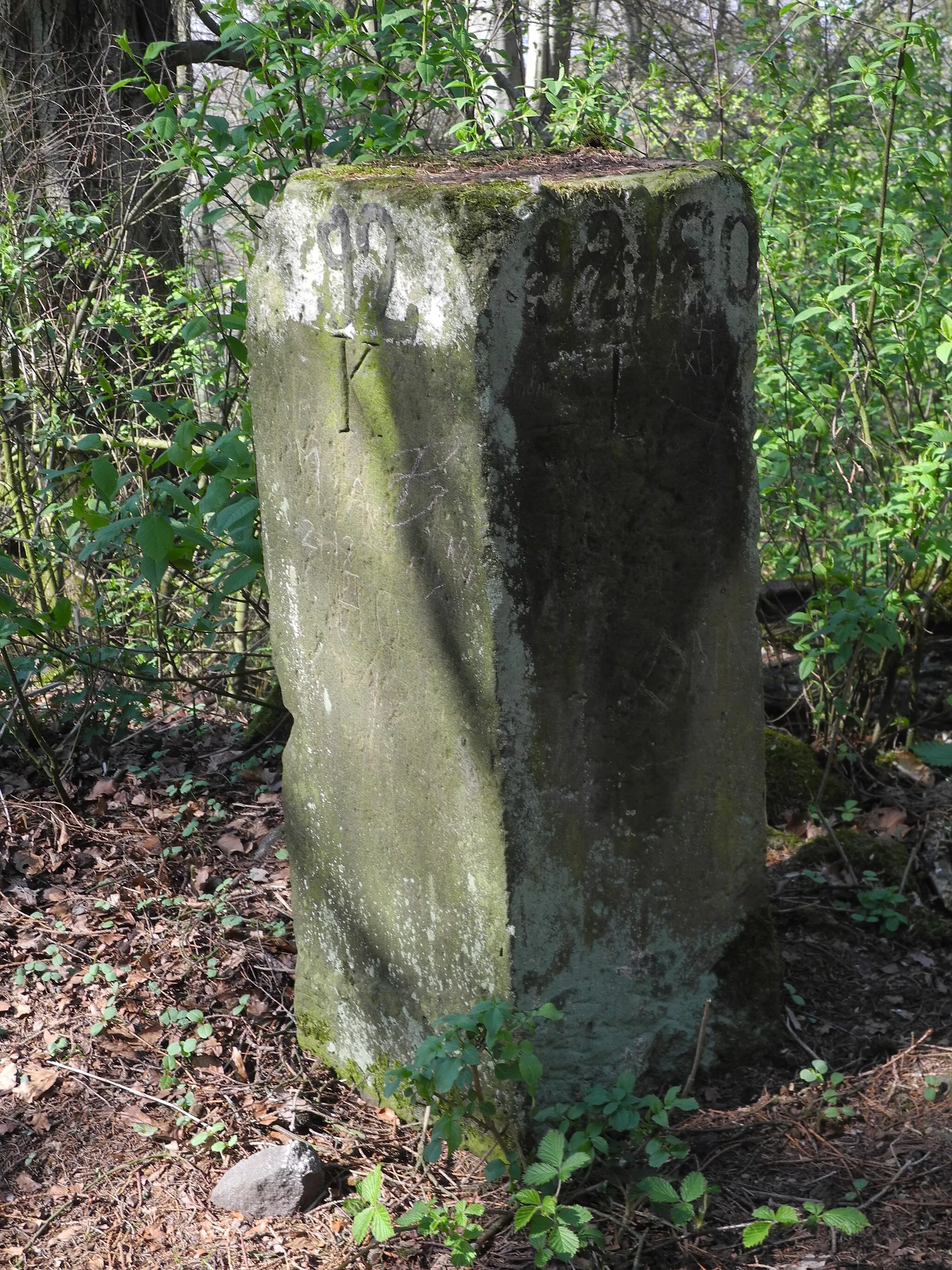 Photo showing: Der Isthaberg, ein 523 m hoher Inselberg, nördlich von Istha, östlich von Wolfhagen, im Landkreis Kassel, Hessen, Deutschland.
Gipfel mit Stele.