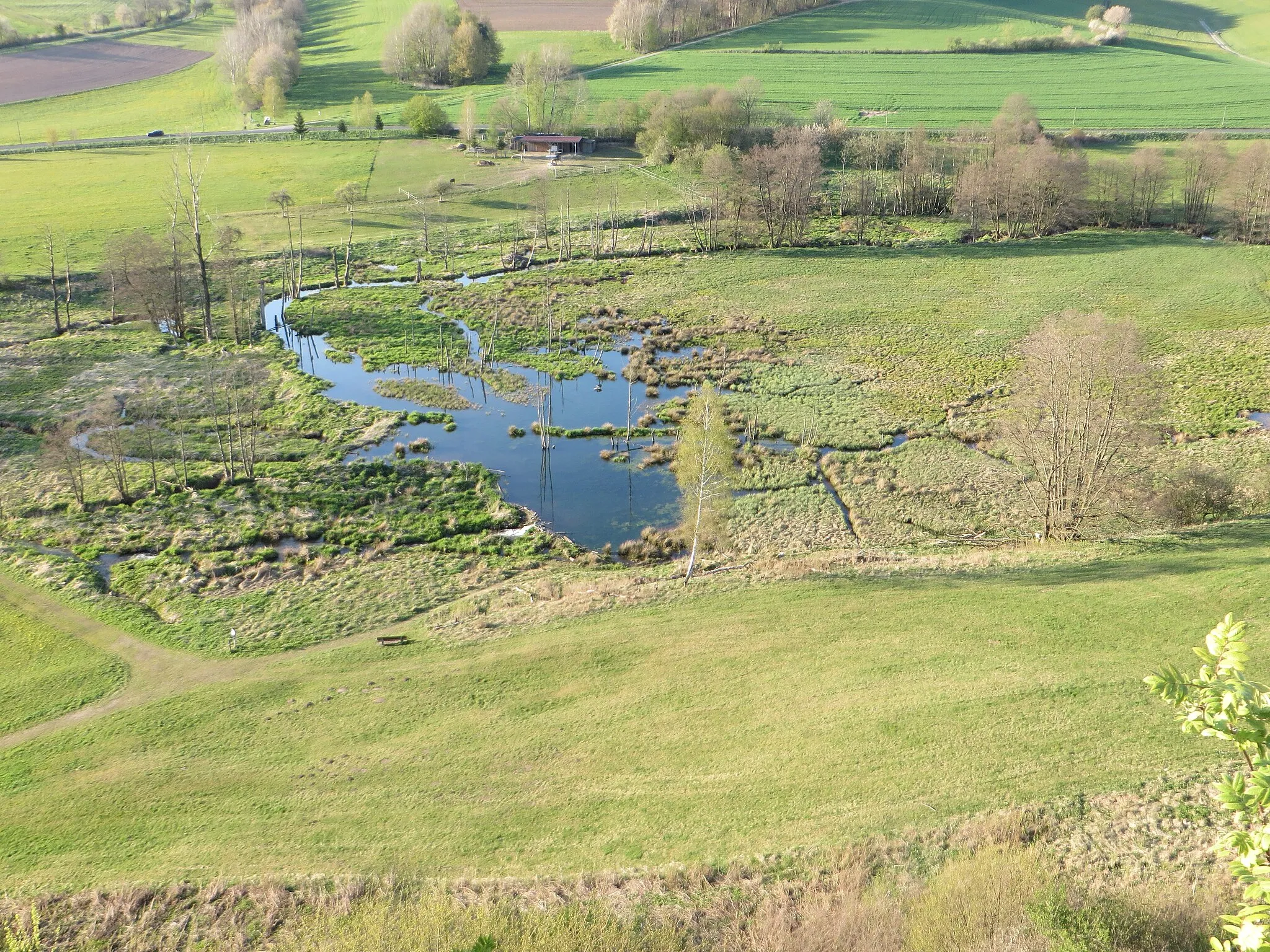 Photo showing: Sumpfgebiet bei Kothen (Gemeinde Motten, Landkreis Bad Kissingen, Bayern), nördlich des Pilstersteins