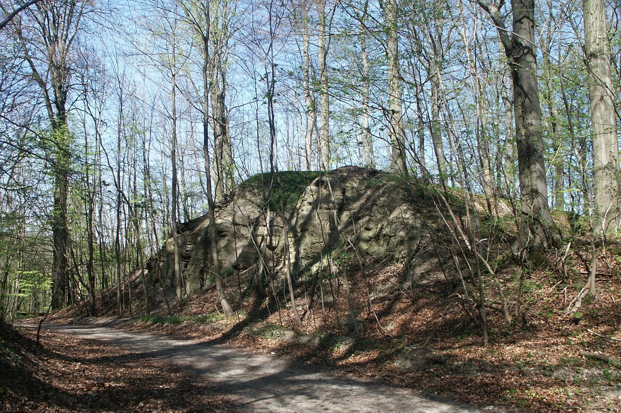 Photo showing: Ruine Dreienburg, Halsgraben (vermutlich heute breiter als bei der mittelalterlichen Anlage, da heute ein ausgebauter Forstweg durch den Graben führt)