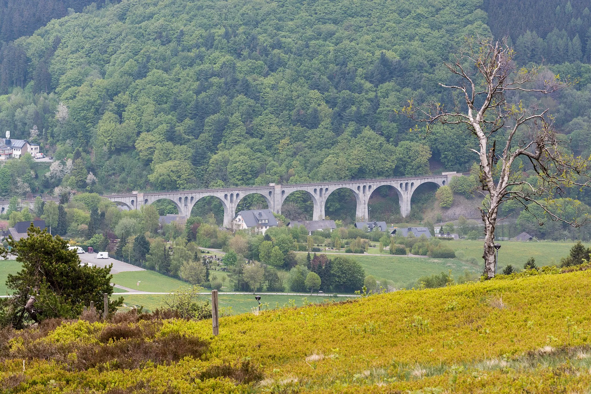 Photo showing: Blick vom Ettelsberg auf das Viadukt Willingen der Bahnstrecke Wabern–Brilon-Wald.