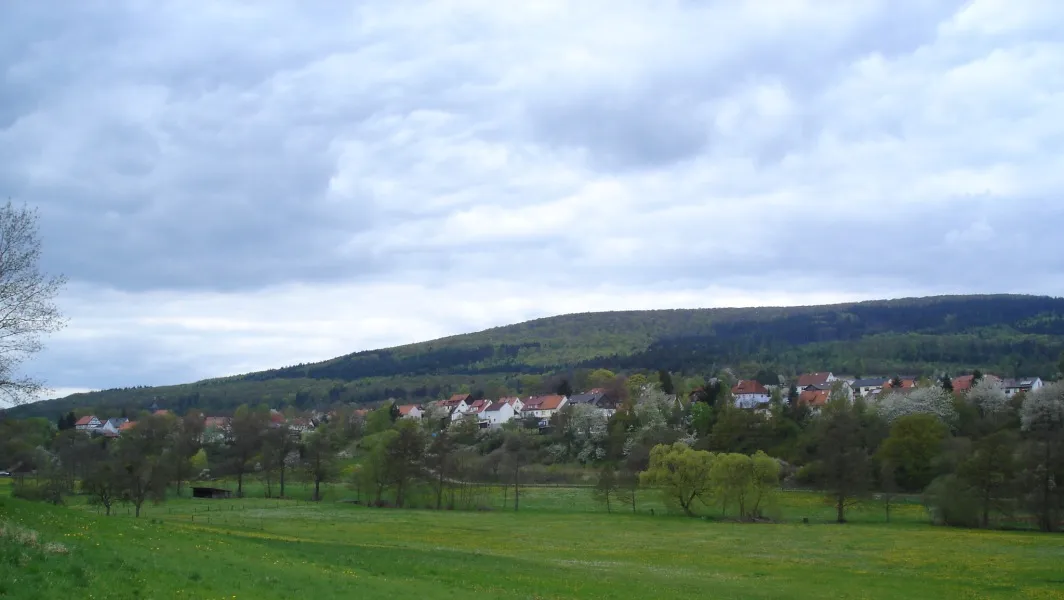 Photo showing: Densberg, gesehen von Südosten
