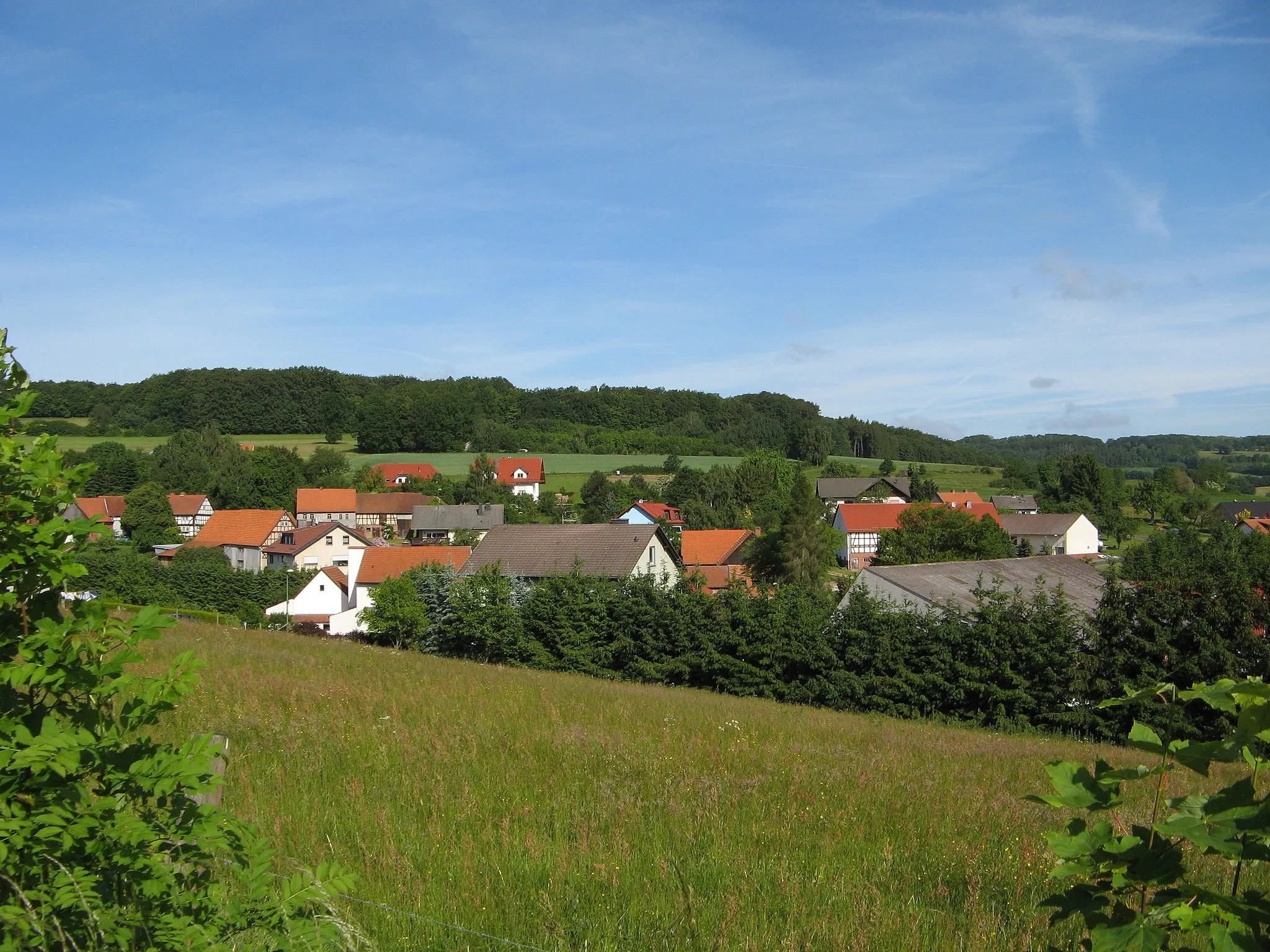 Photo showing: Dorfansicht von Pfaffenrod