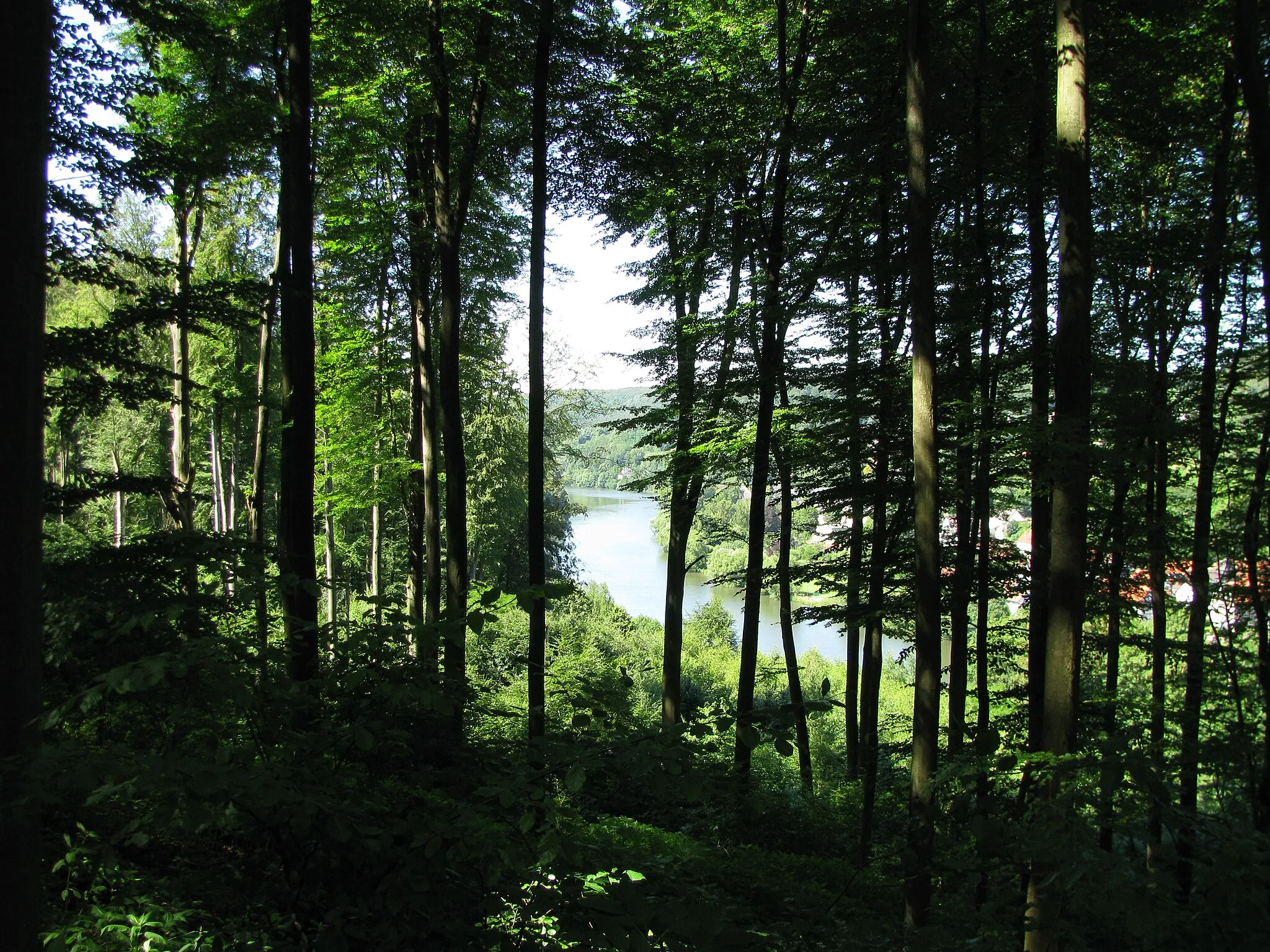 Photo showing: Blick von einem Waldweg unterhalb des Quelberg auf die Fulda und das rechts der Fulda liegende Landschaftsschutzgebiet "Fulda und Fuldaufer"