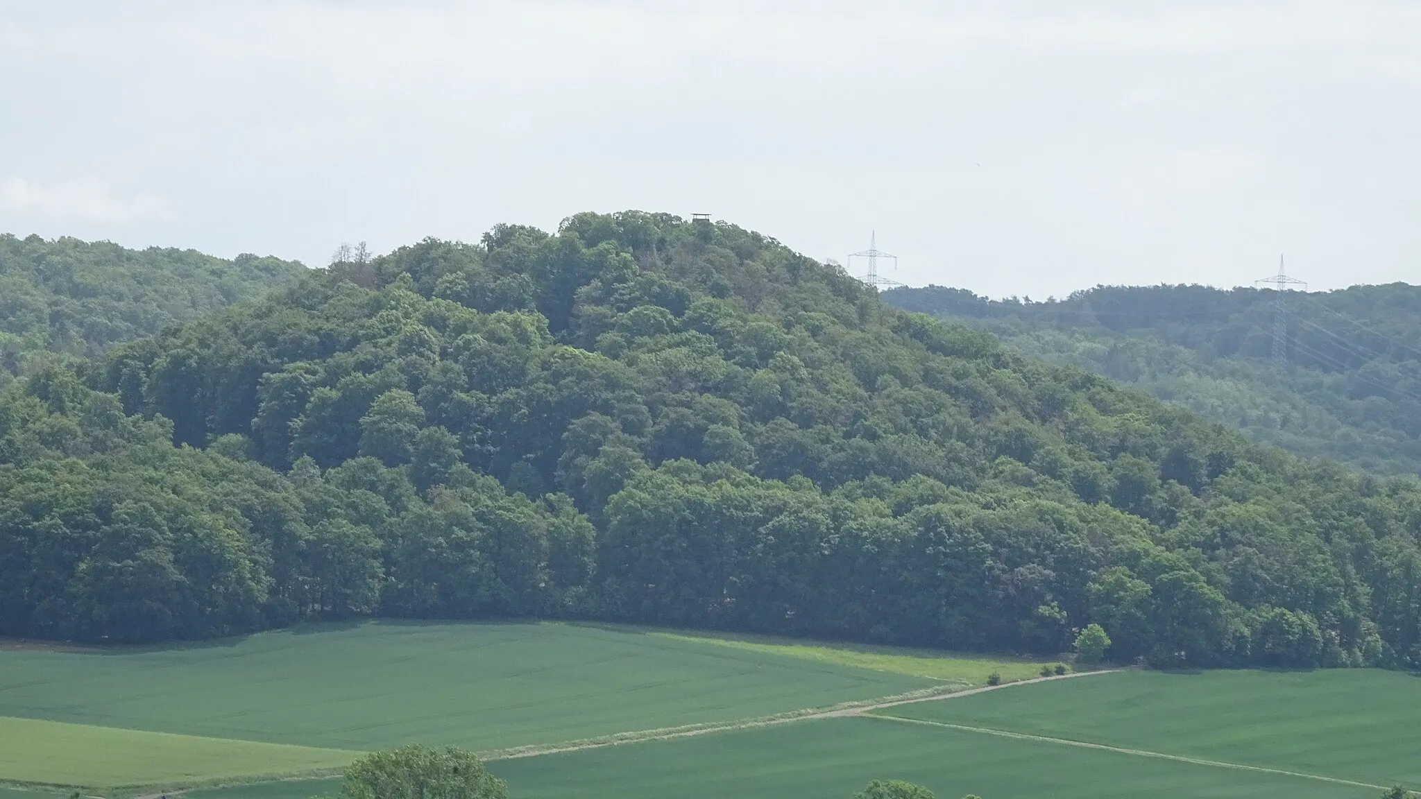 Photo showing: Blick vom Ronneberg