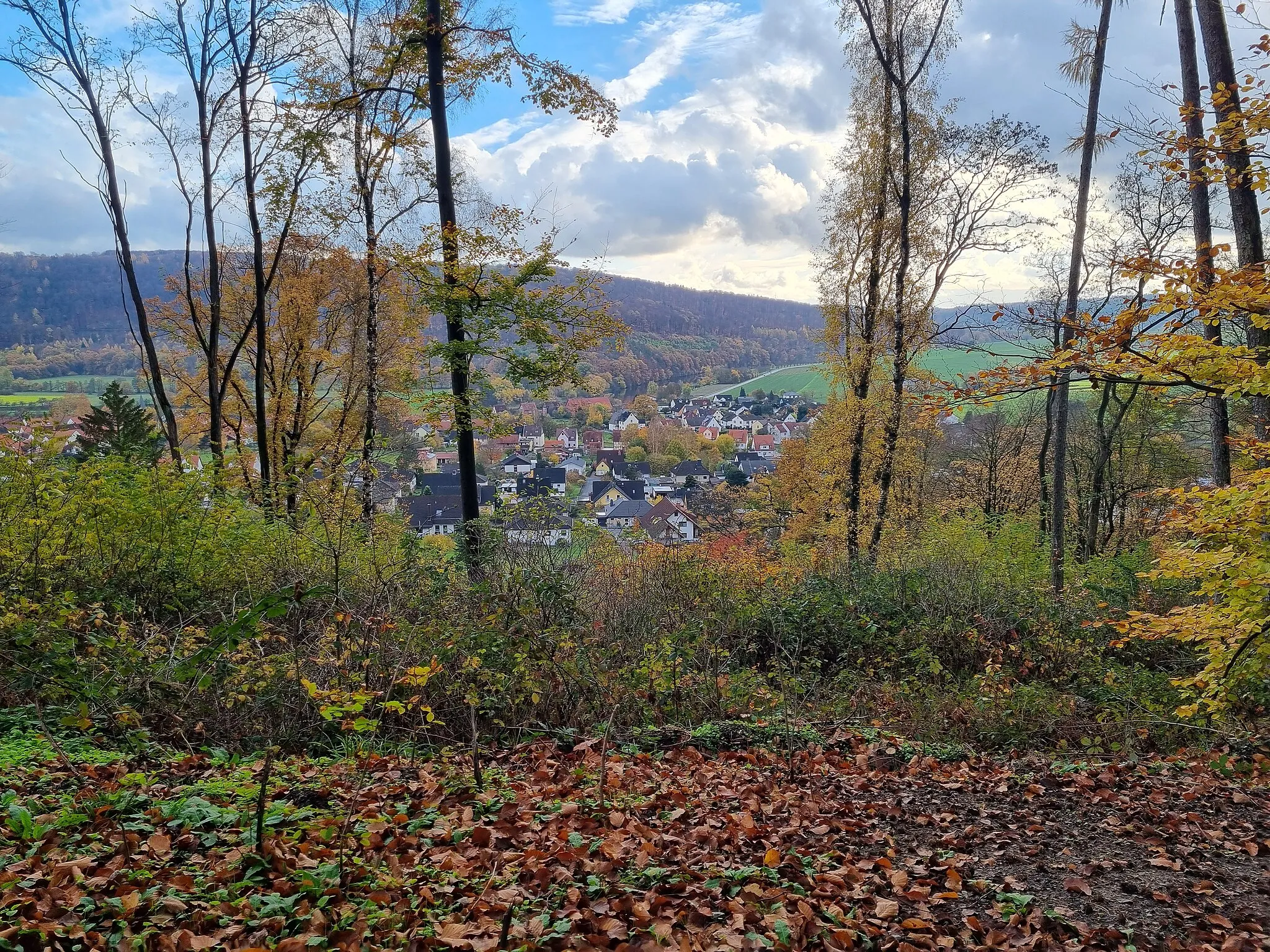 Photo showing: Blick vom Reinhardswald auf Wilhelmshausen. Im Hintergrund Speeler Kopf.