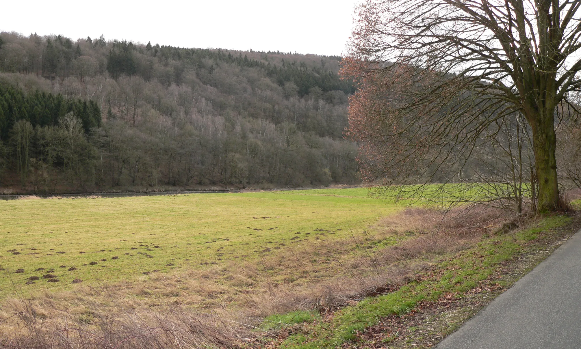 Photo showing: Fulda im Naturpark Münden bei Wilhelmshausen (Gem. Fuldatal)