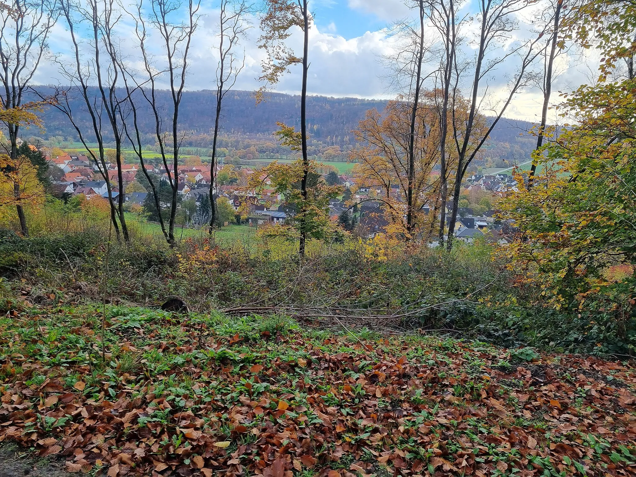 Photo showing: Blick vom Reinhardswald auf Wilhelmshausen. Im Hintergrund Speeler Kopf.