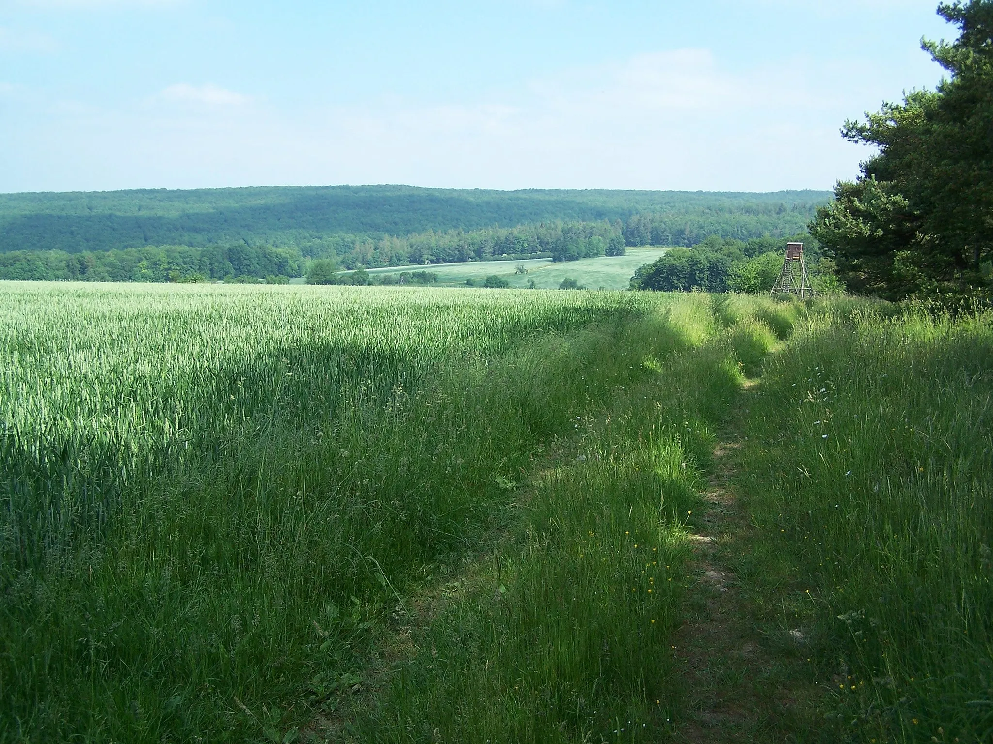 Photo showing: The "Mertelstal" - a still dell near Wolfmannsgehau and prohibited zone over 40 years. It was temporary one of the escape routes out of the Soviet Zone.