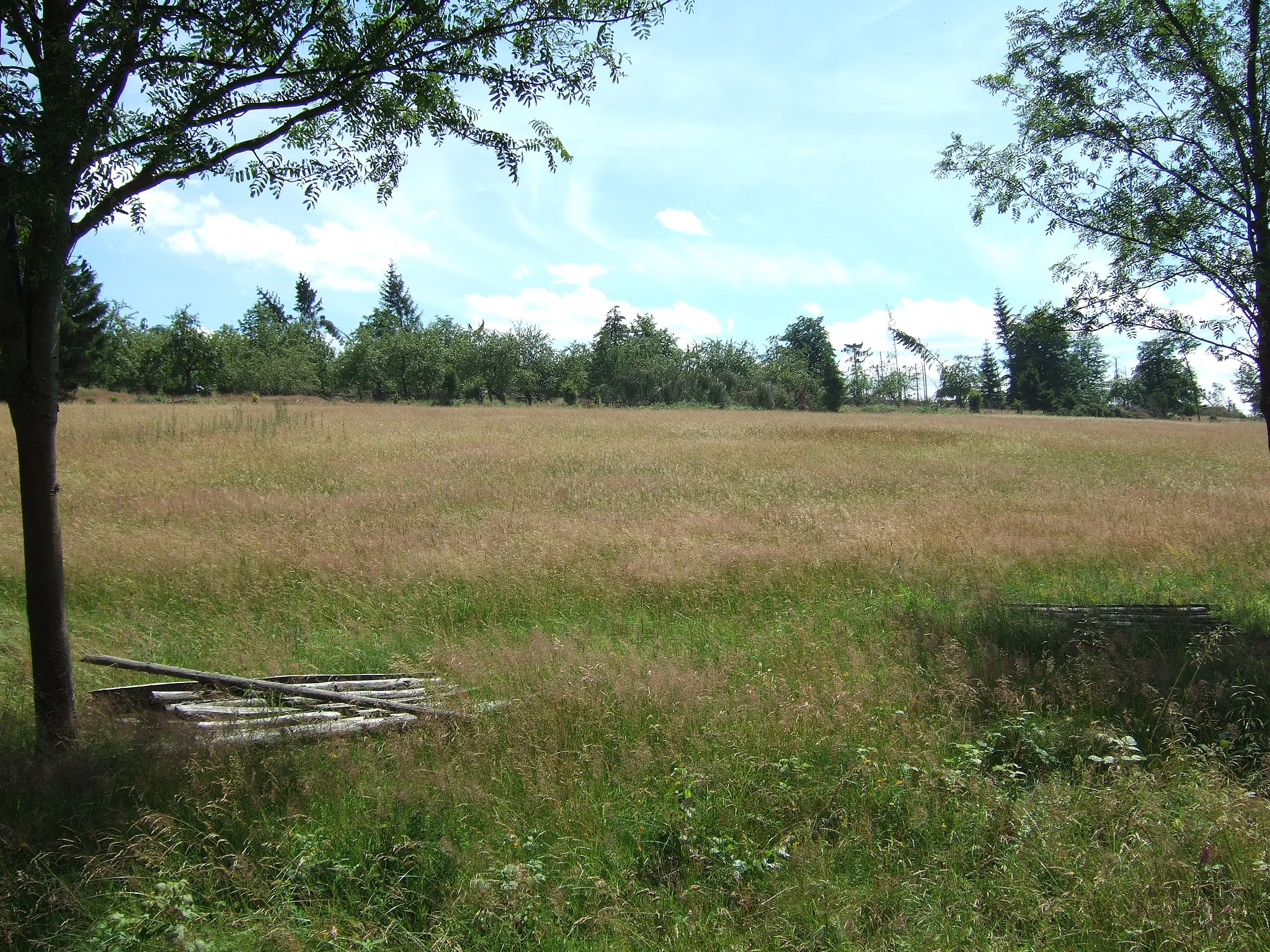 Photo showing: Fahrentriesch im Nationalpark Kellerwald-Edersee