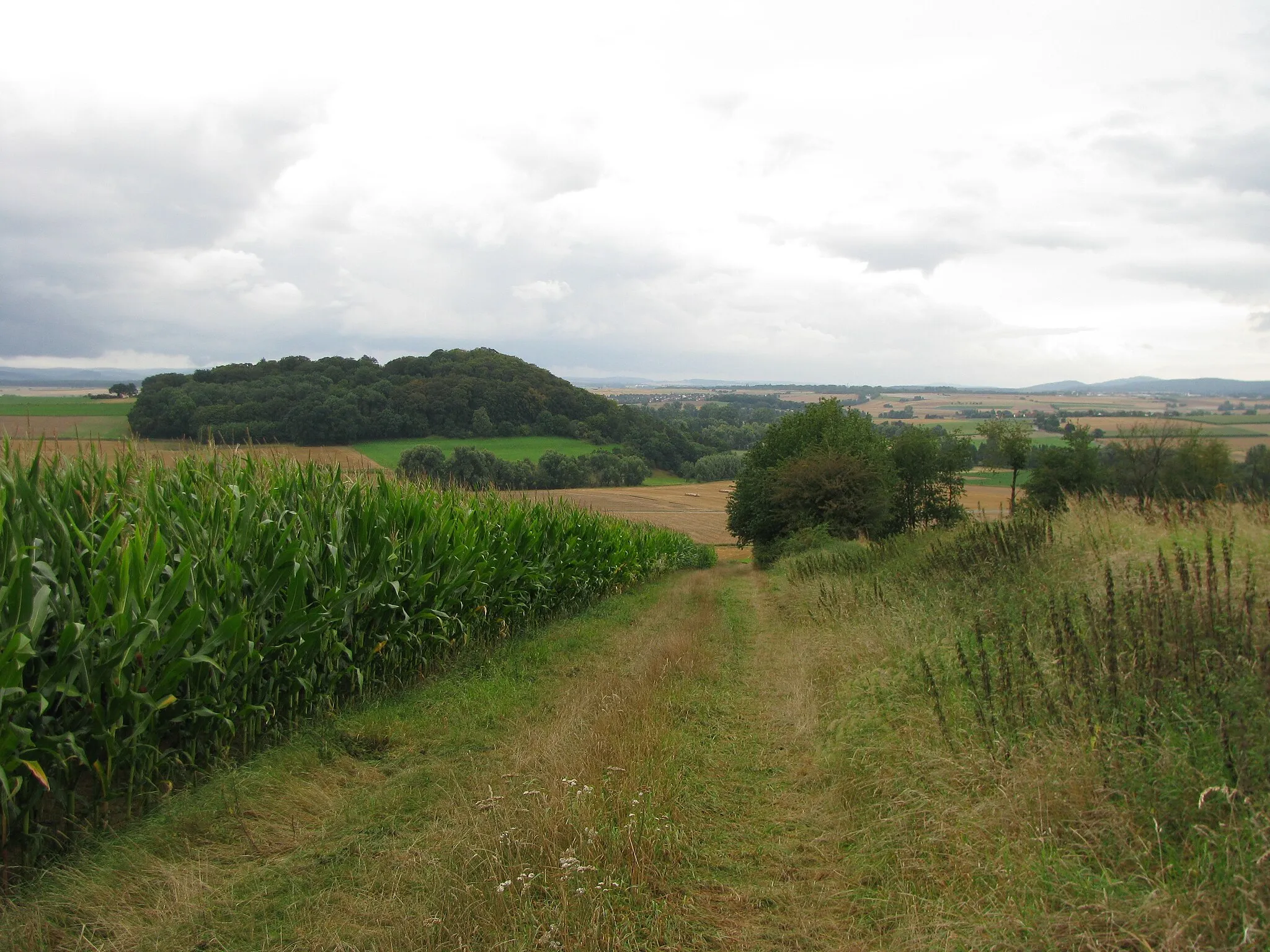 Photo showing: der Berg Leichenkopf zwischen Gleichen und Dorla