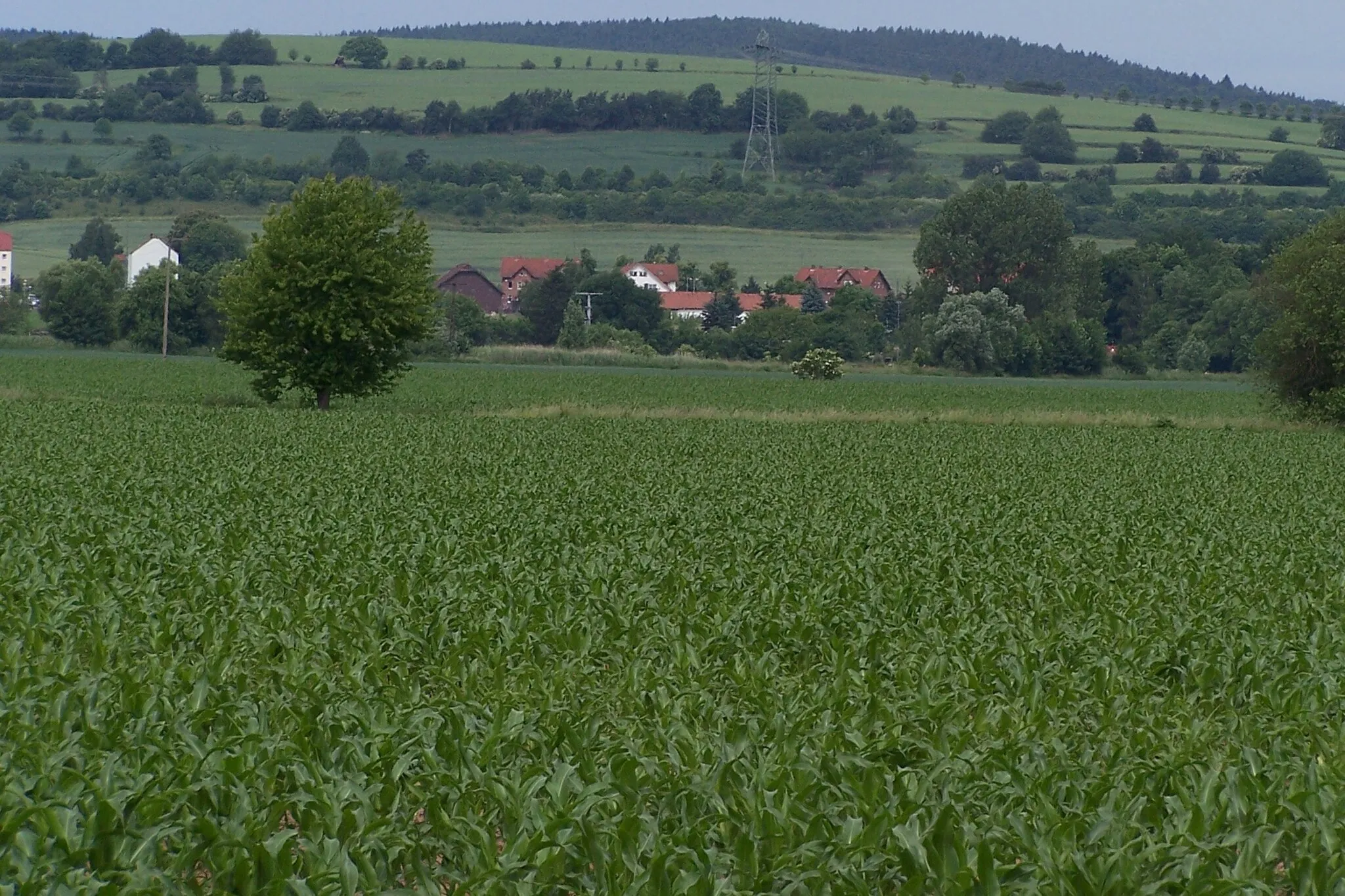 Photo showing: Blick von Osten auf den Fuldischen Berg und den Gerstunger Ortsteil Untersuhl.