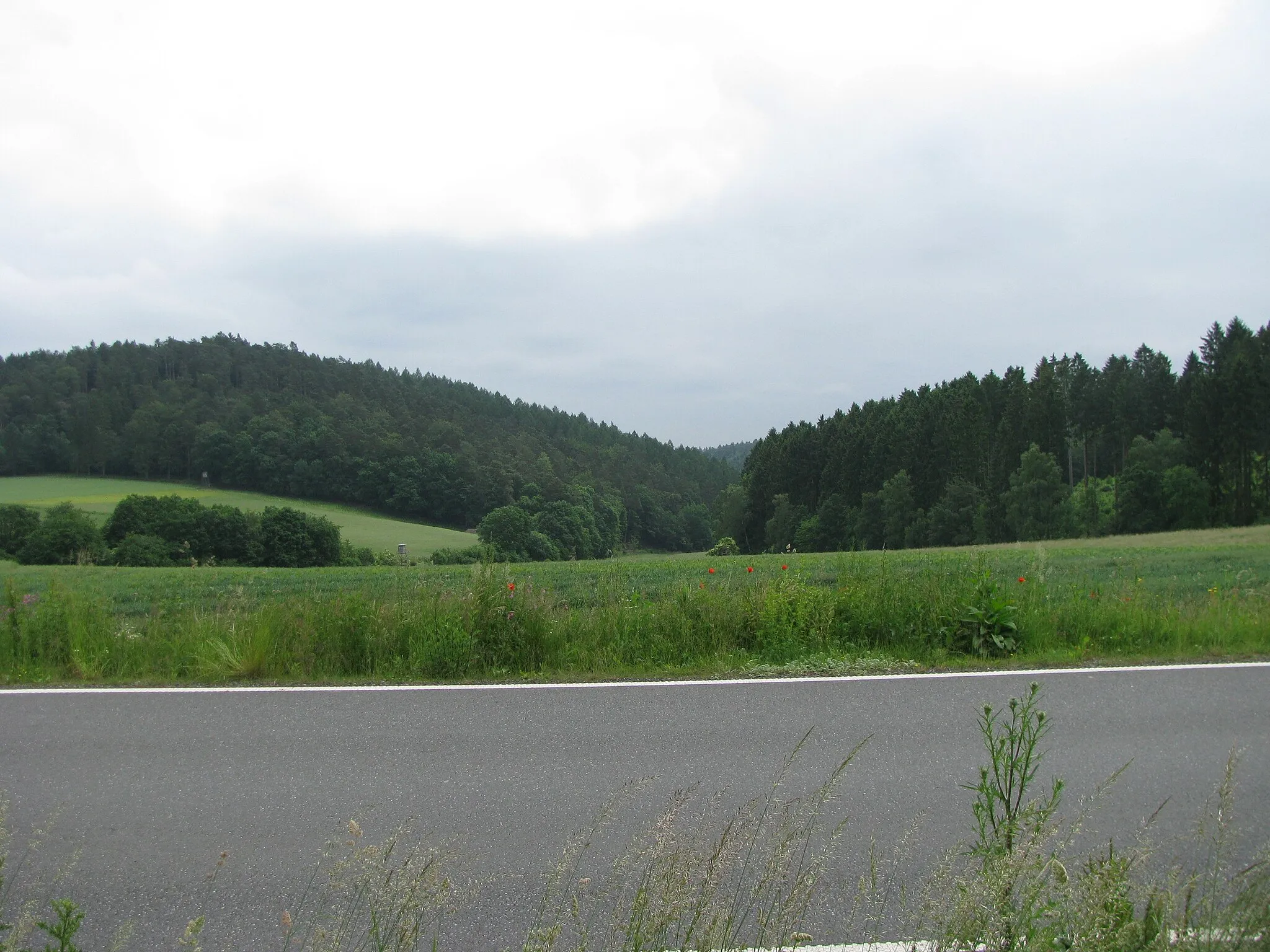 Photo showing: Blick auf das Tal zwischen Eichberg und Finkenberg