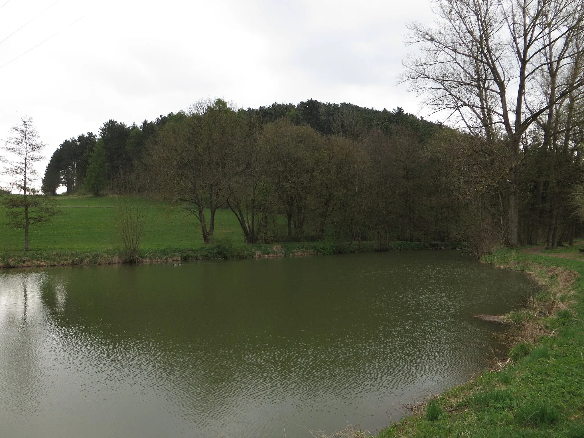 Photo showing: Blick von Südwesten zum Weinberg bei Dietershausen, Landkreis Fulda; Hessische Rhön