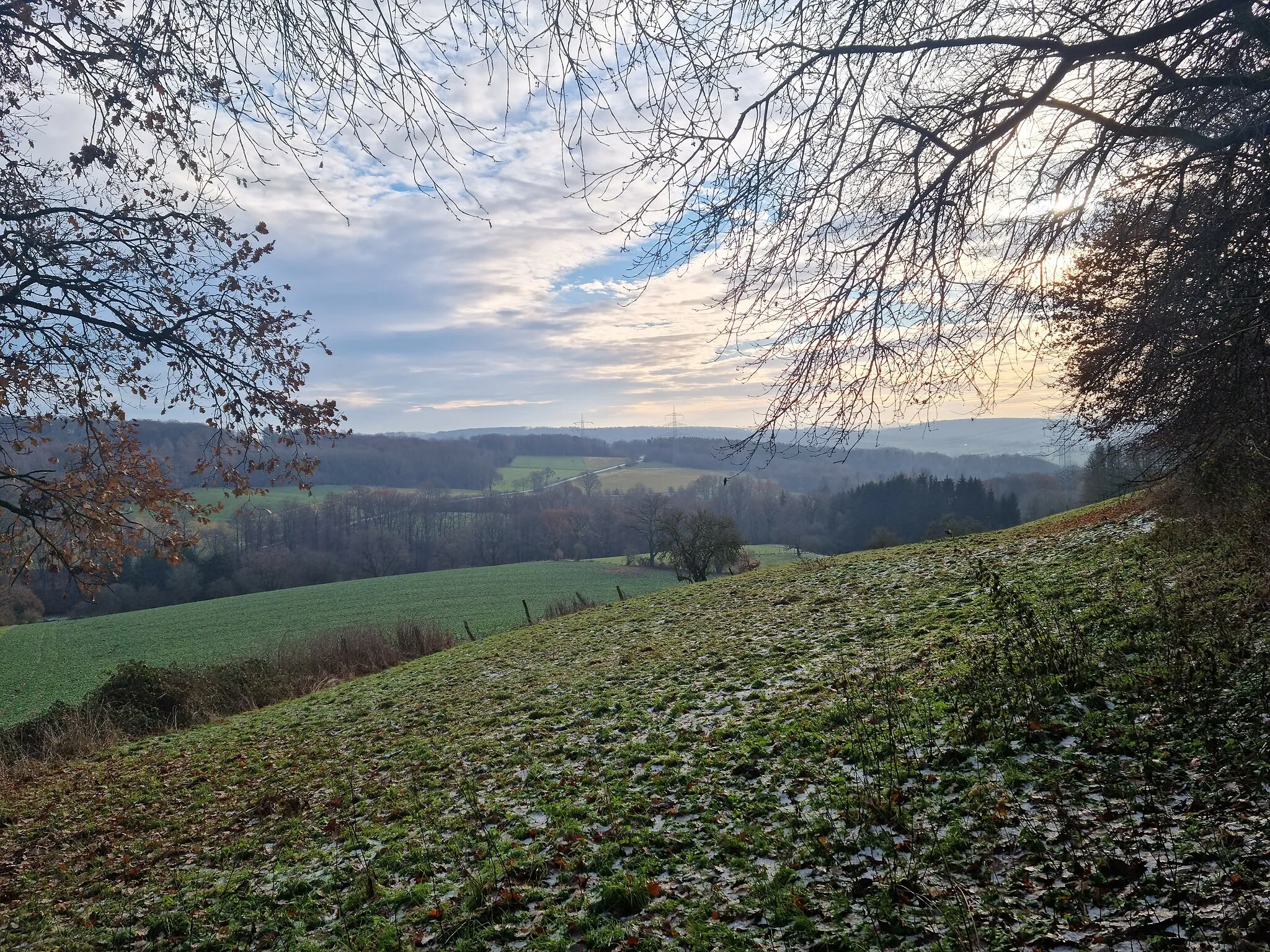 Photo showing: Ausblick von der Tafel bei der Gerhard-Holten-Hütte: Steinkopf. Die auf der tafel gezeigte Vertiefung aus der das "Kasseler Braun" stammen soll ist für mich auf der Wiese nicht erkennbar.