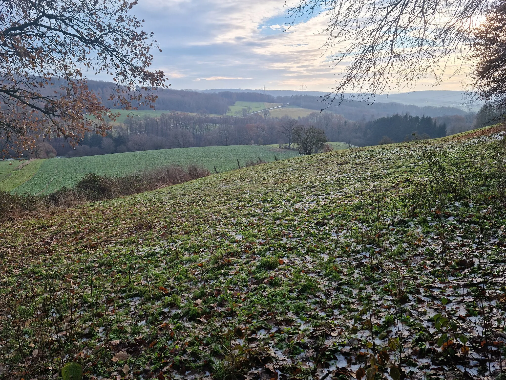 Photo showing: Ausblick von der Tafel bei der Gerhard-Holten-Hütte: Steinkopf. Die auf der tafel gezeigte Vertiefung aus der das "Kasseler Braun" stammen soll ist für mich auf der Wiese nicht erkennbar.