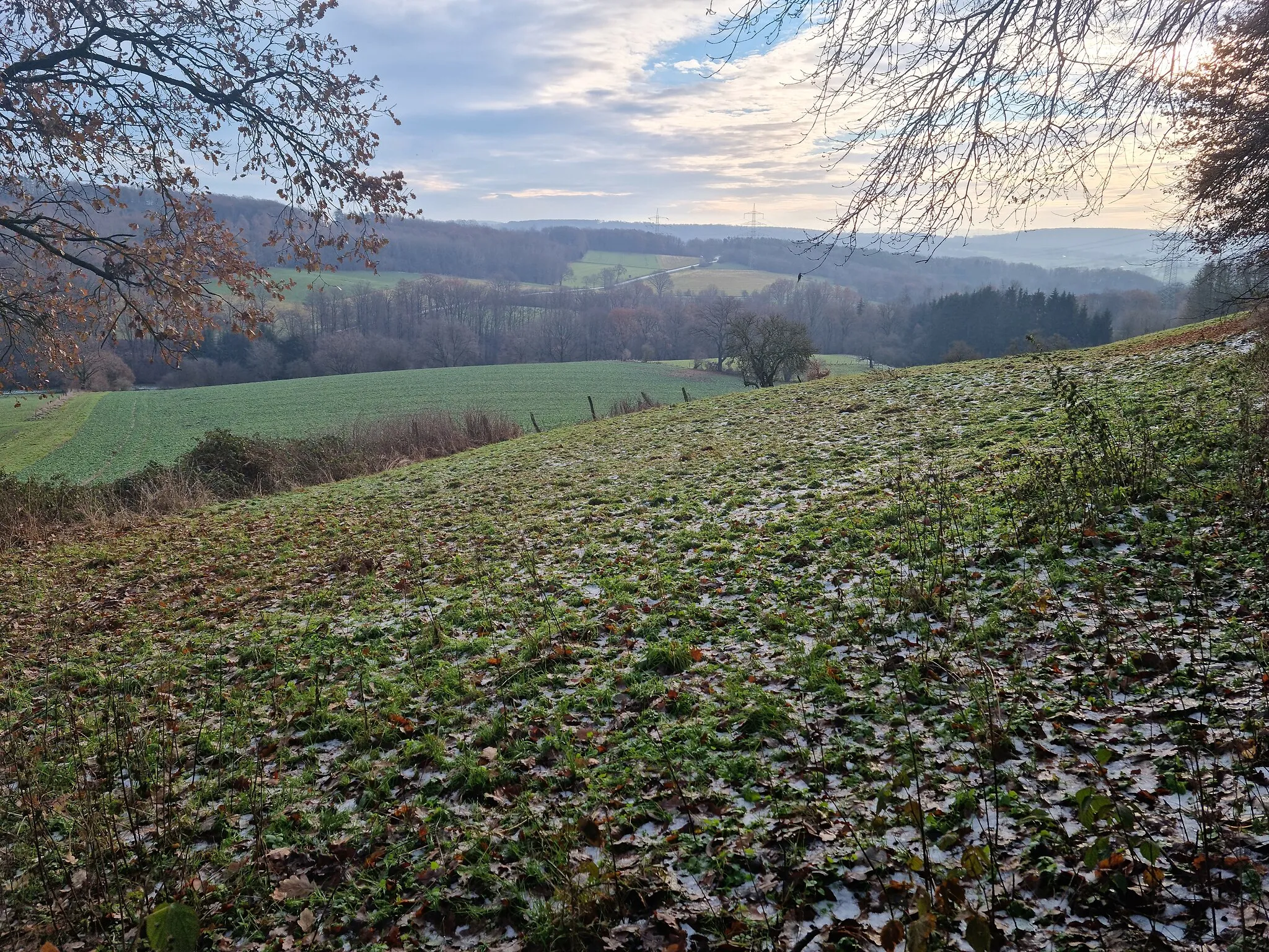 Photo showing: Ausblick von der Tafel bei der Gerhard-Holten-Hütte: Steinkopf. Die auf der tafel gezeigte Vertiefung aus der das "Kasseler Braun" stammen soll ist für mich auf der Wiese nicht erkennbar.