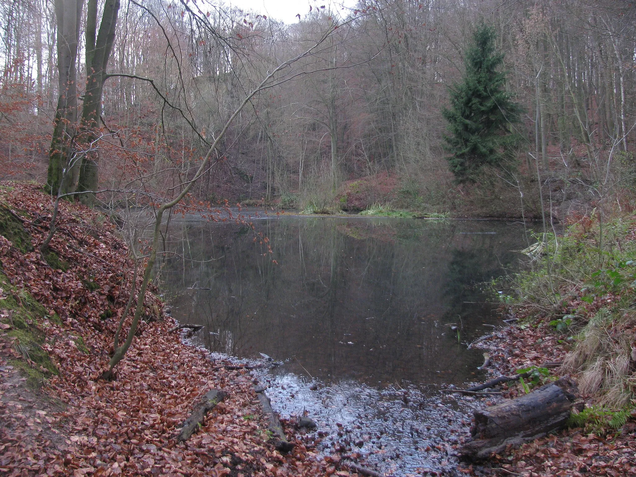 Photo showing: Blick von der ehemaligen Zufahrt zum Steinbruch über den Hangarsteinsee zur Kuppe des Hangarstein