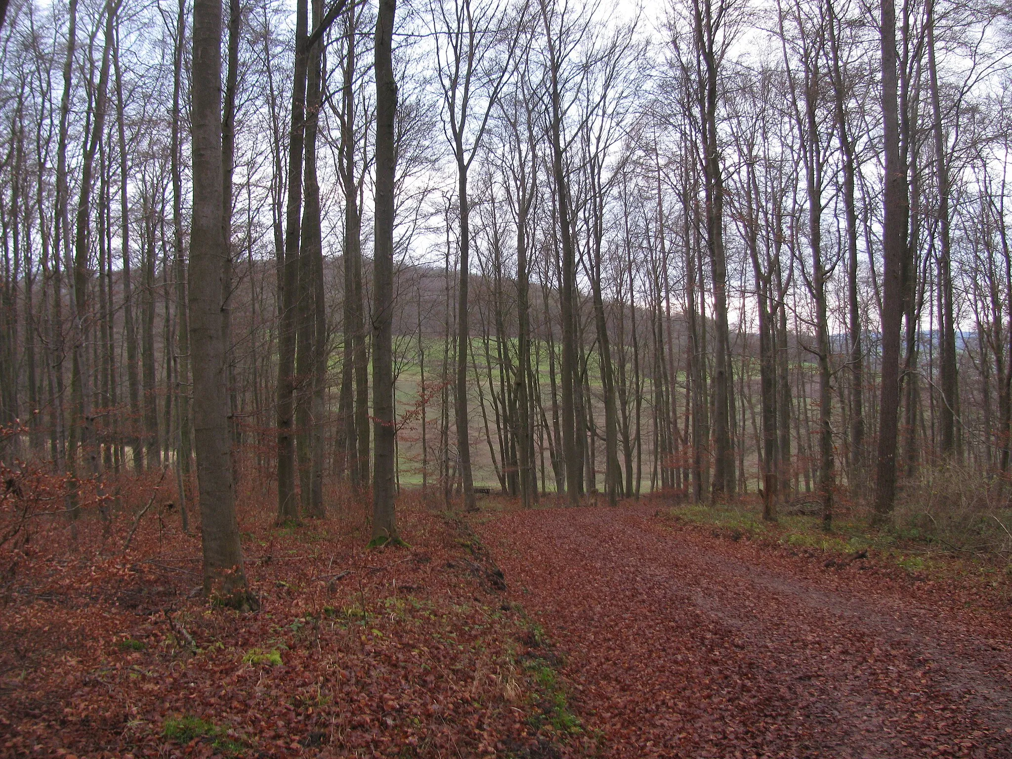 Photo showing: Blick vom Hangarstein auf den Postenberg