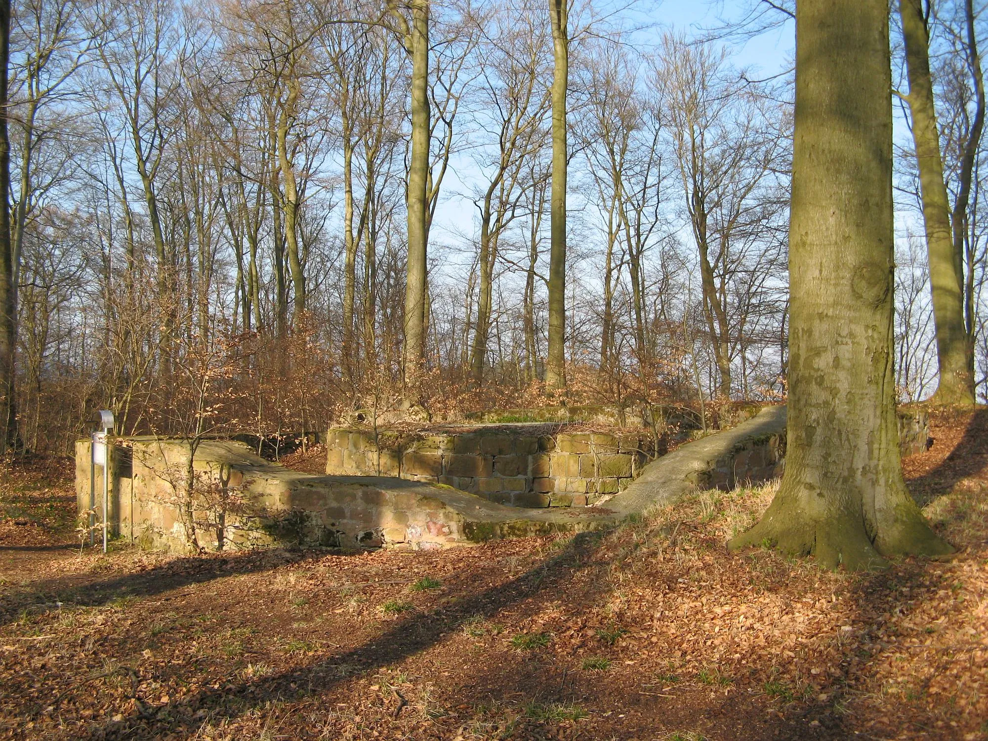 Photo showing: Burgruine Rodenberg auf dem "Alten Turm" (Hausberg) nördlich oberhalb von Rotenburg an der Fulda