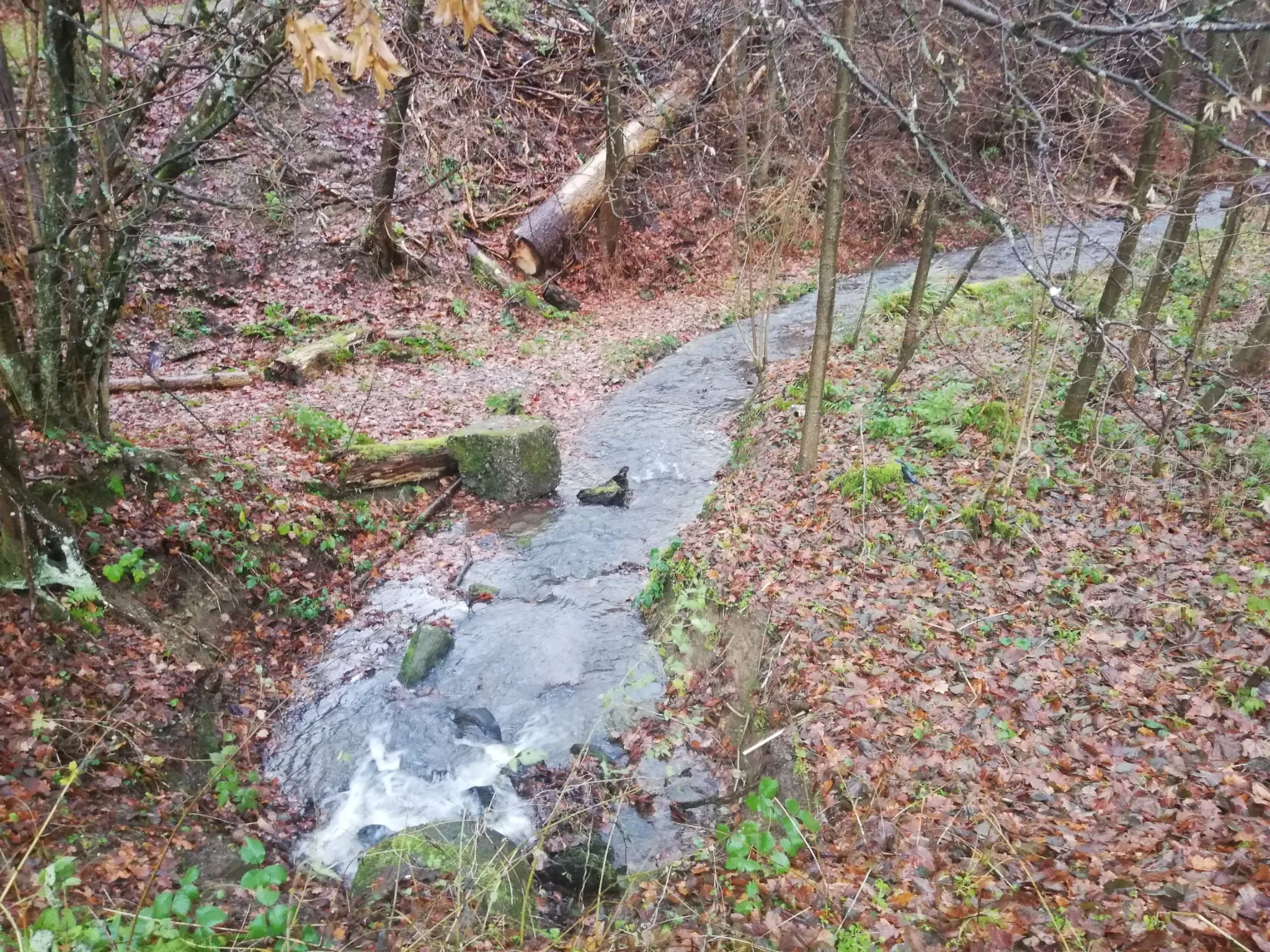 Photo showing: Hüttenseifen in Niederfischbach-Langenbach