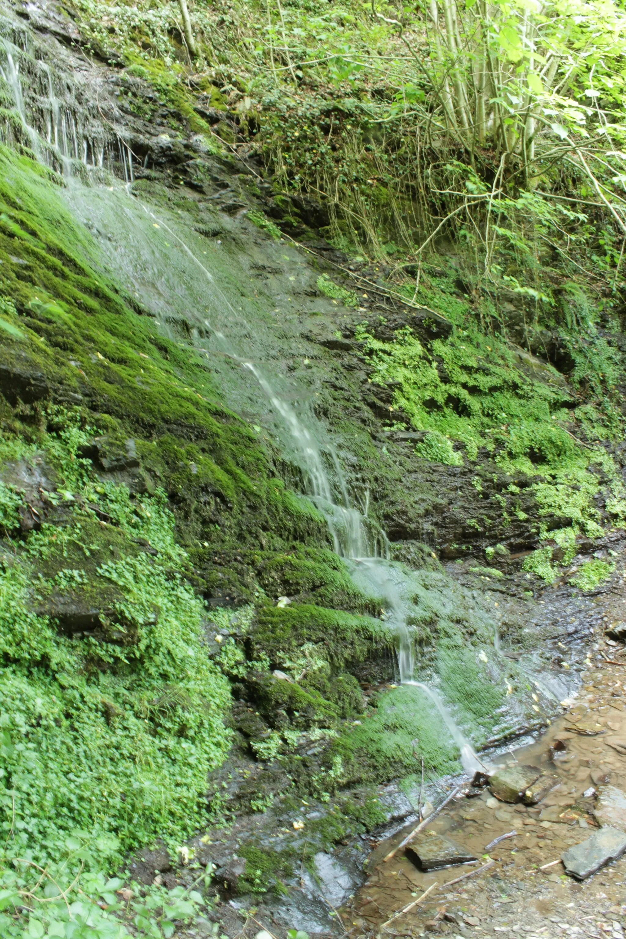 Photo showing: The Waterfall in the "Dortebachtal" nature reserve