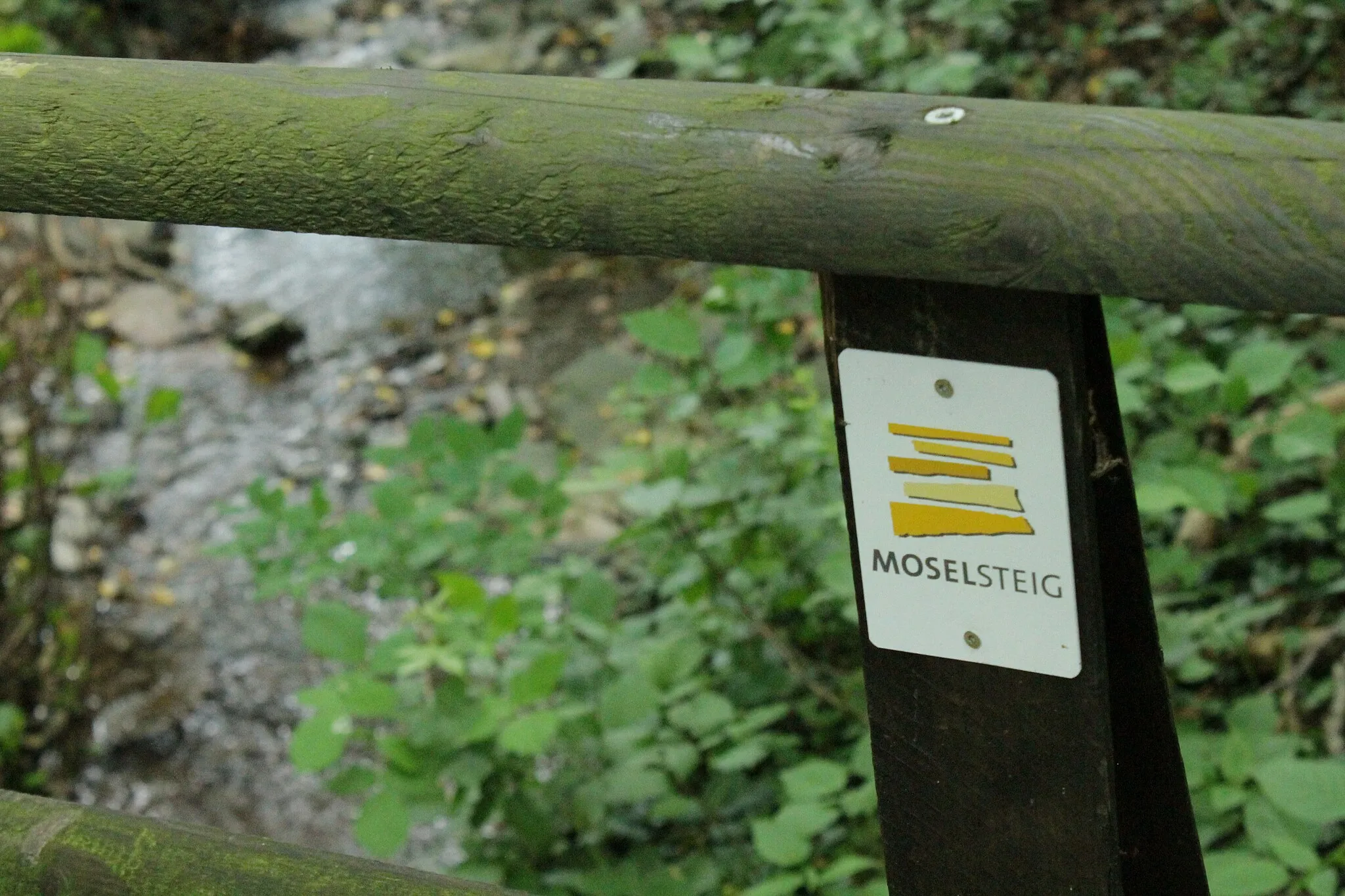 Photo showing: The trekking path "Moselsteig" go along the "Dortebach"