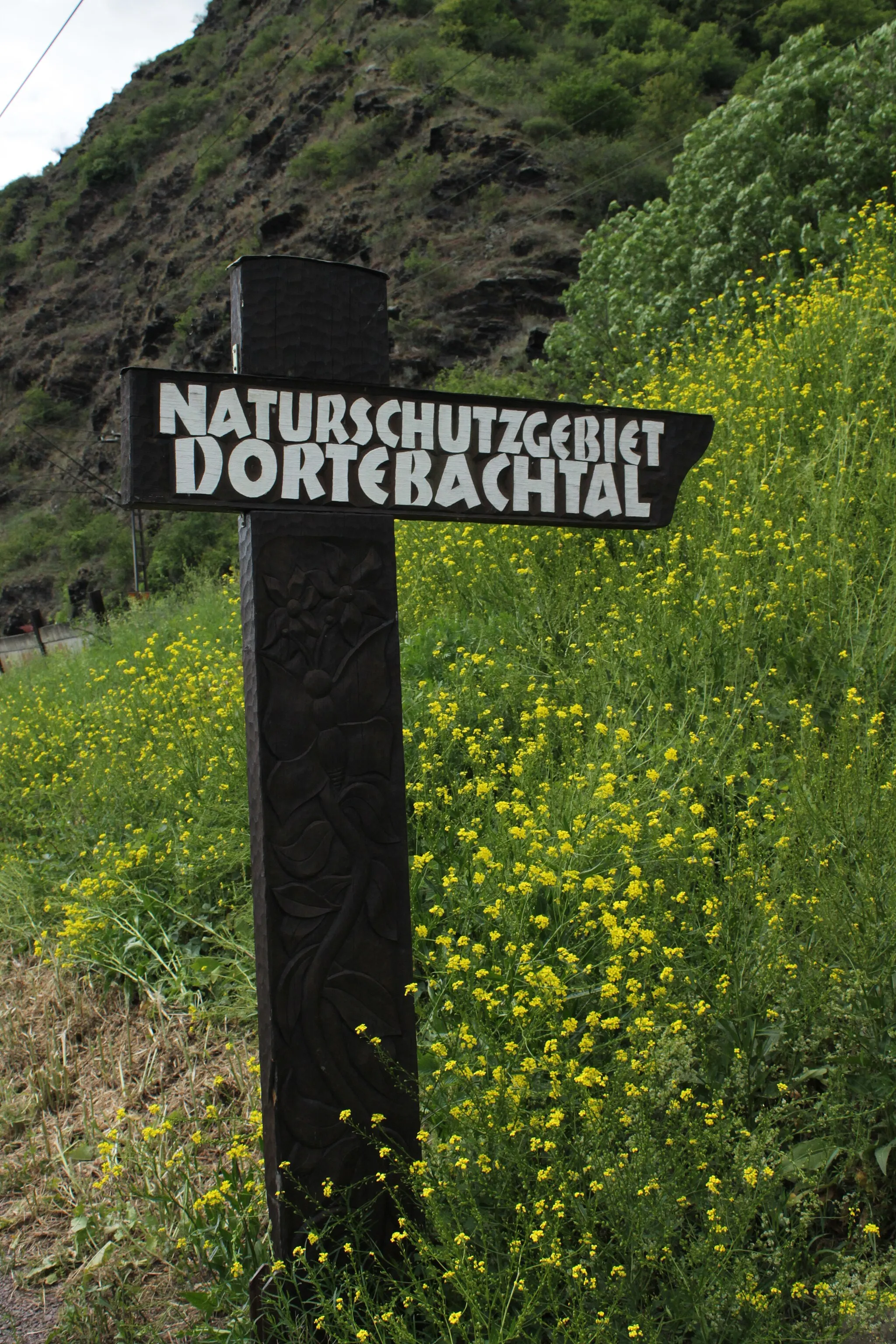 Photo showing: The wooden shild near by the tunnel to the "Dortebachtal" nature reserve