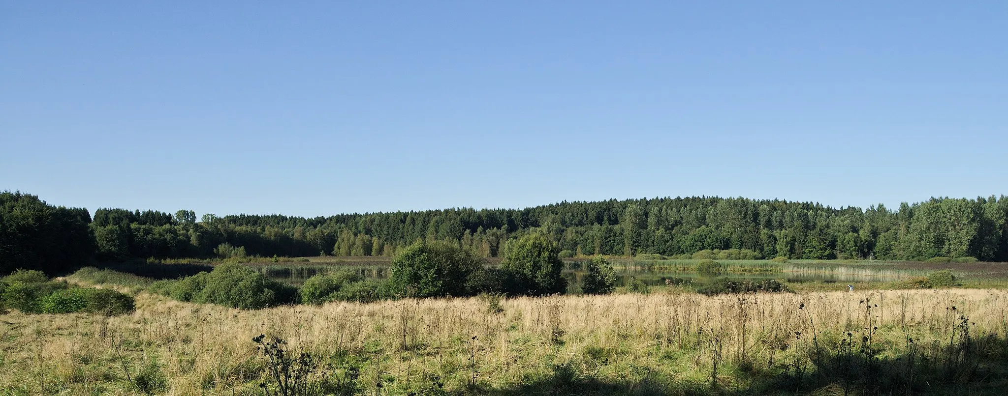 Photo showing: Nature reserve Wölferlinger Weiher, Westerwald, Germany. (Almost) total view of the pond that is small compared to the other ponds of Westerwälder Seenplatte