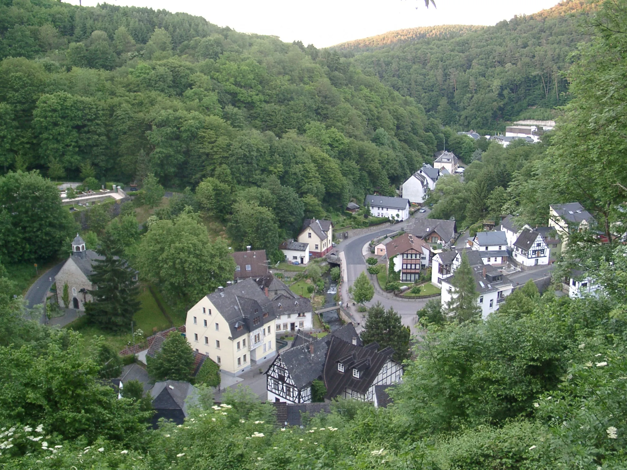 Photo showing: Grenzau (Höhr-Grenzhausen) von der Burg aus