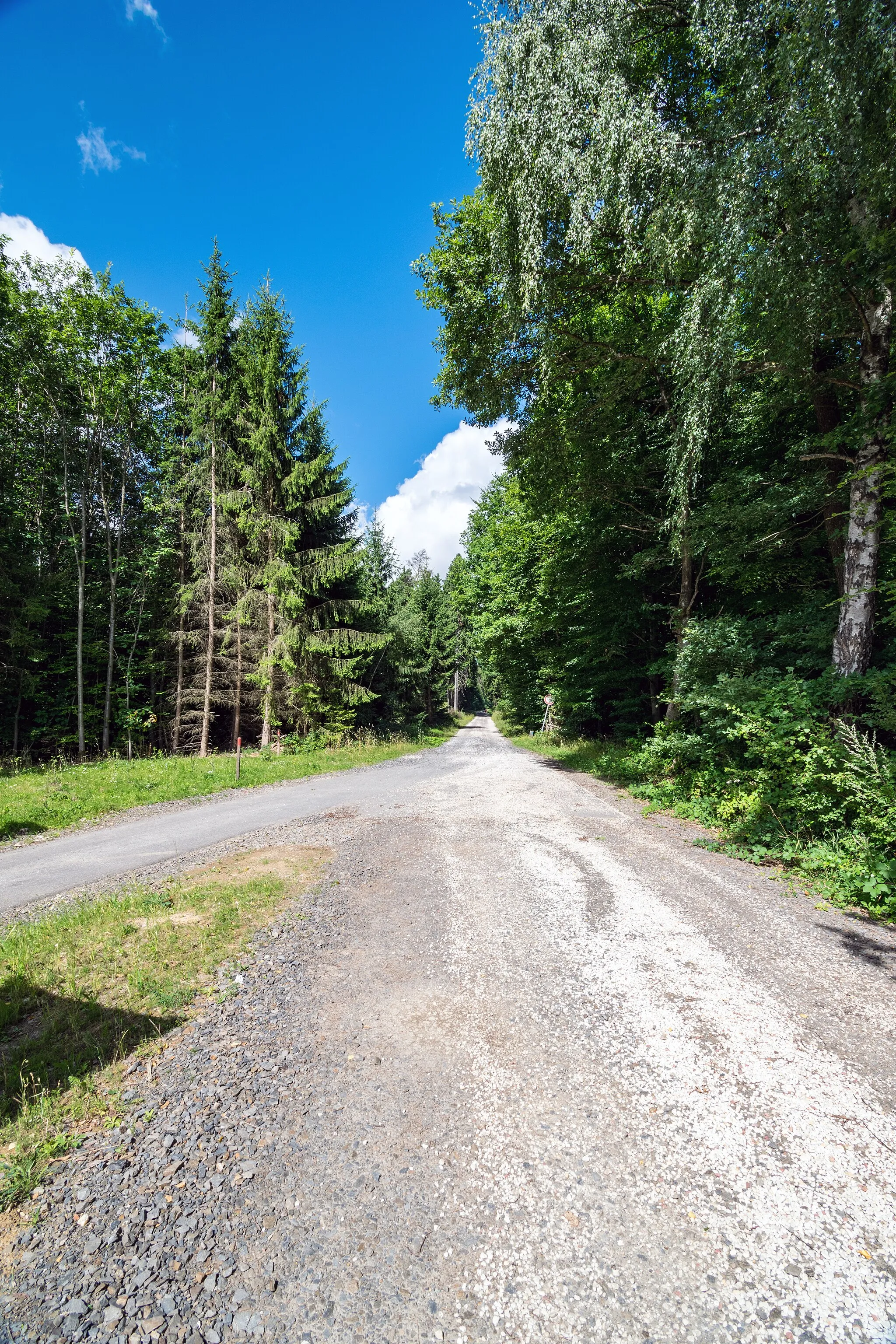 Photo showing: Southeast entrance to the archaeological round footpath "Spurensuche im Frankweiler Wald"