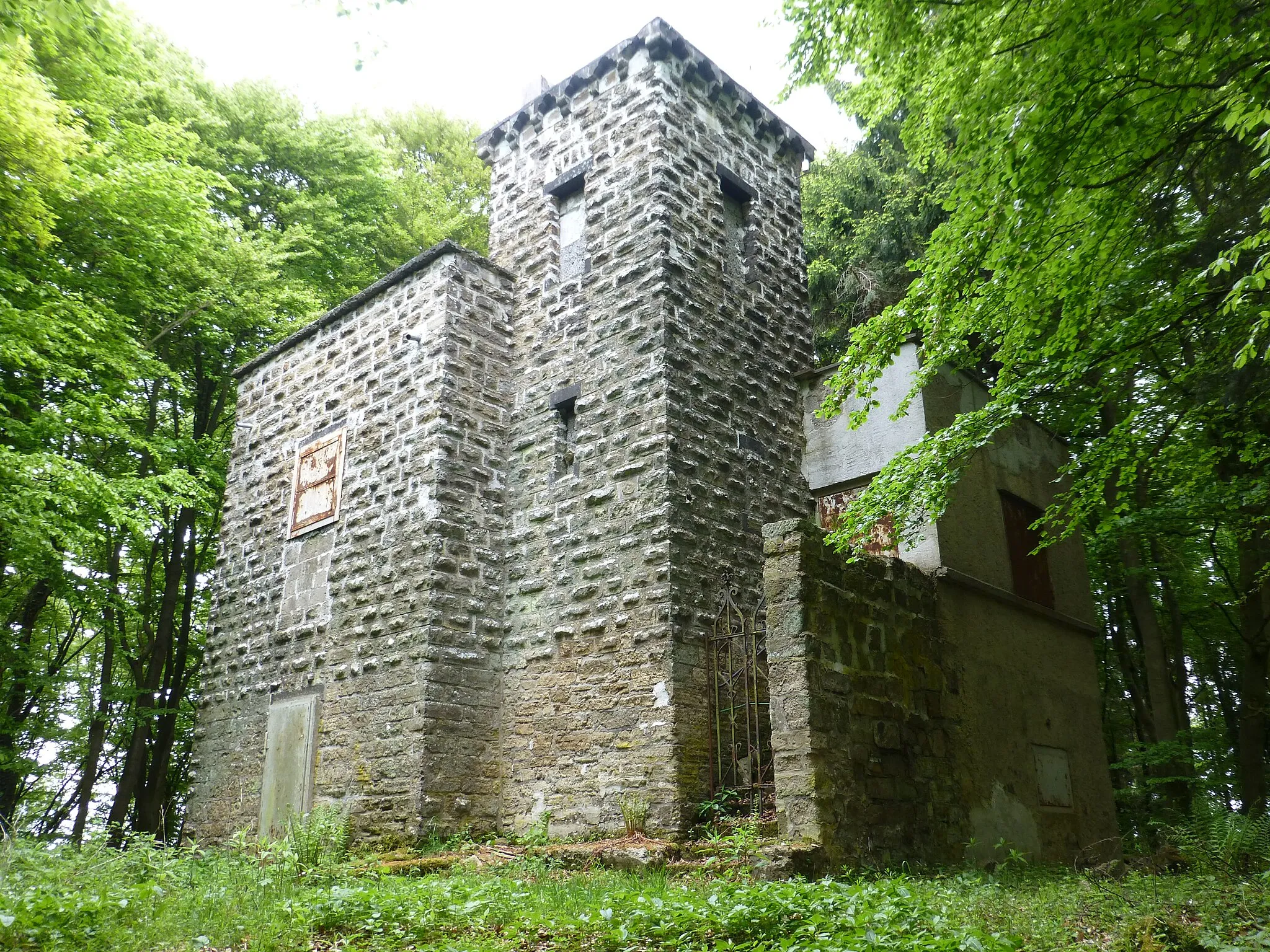 Photo showing: Alter Gänsehalsturm südöstlich des neuen Turms auf dem Gänsehals