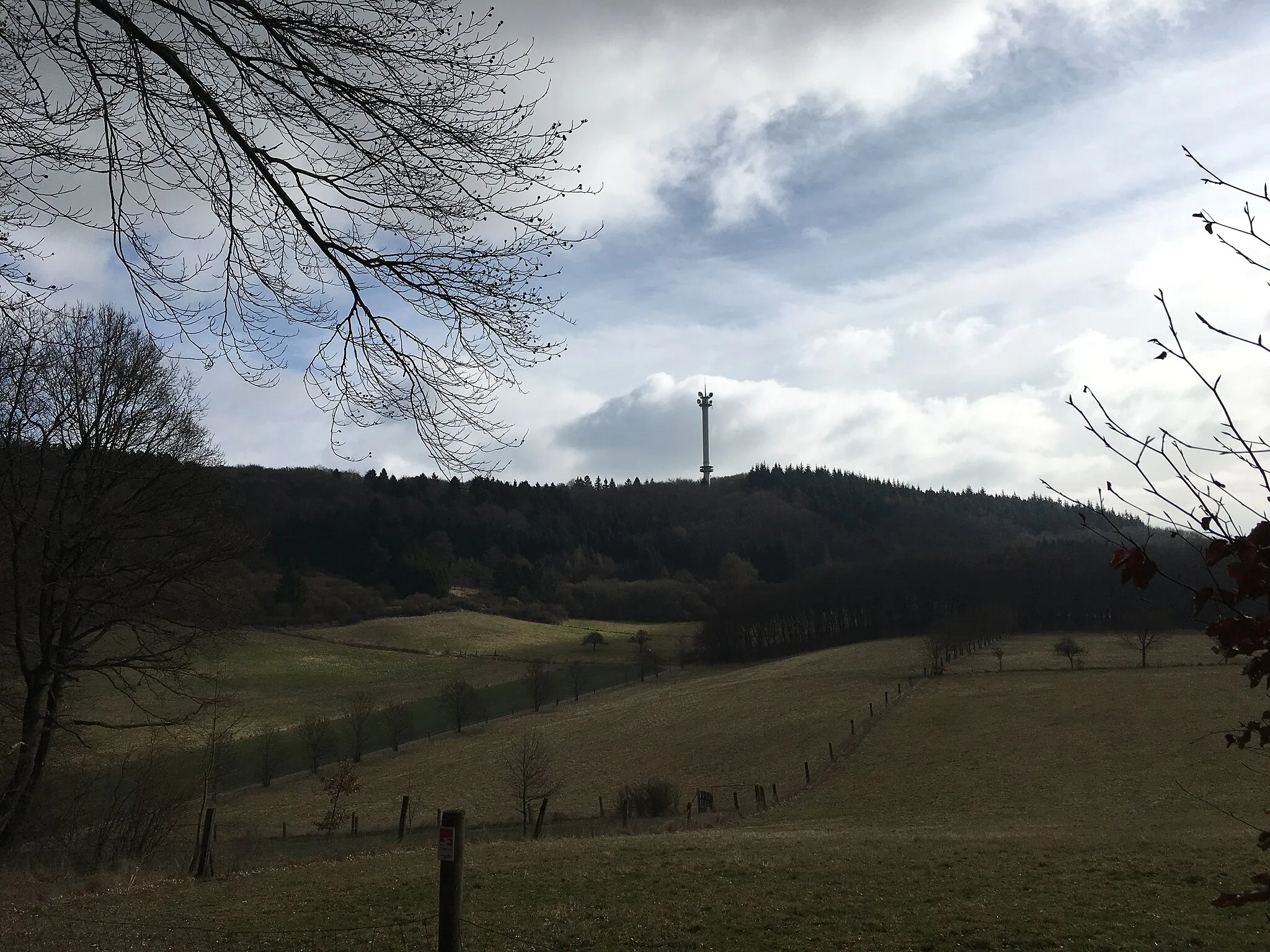 Photo showing: Der Waldseepfad Rieden ist ein rund 14 km langer Rundwanderweg in Rieden, Landkreis Mayen-Koblenz in Rheinland-Pfalz. Er ist einer von 26 Prädikatswanderwegen, die als Traumpfade vermarktet werden. Hinten Richtfunkturm Gänsehals auf dem Gänsehals.