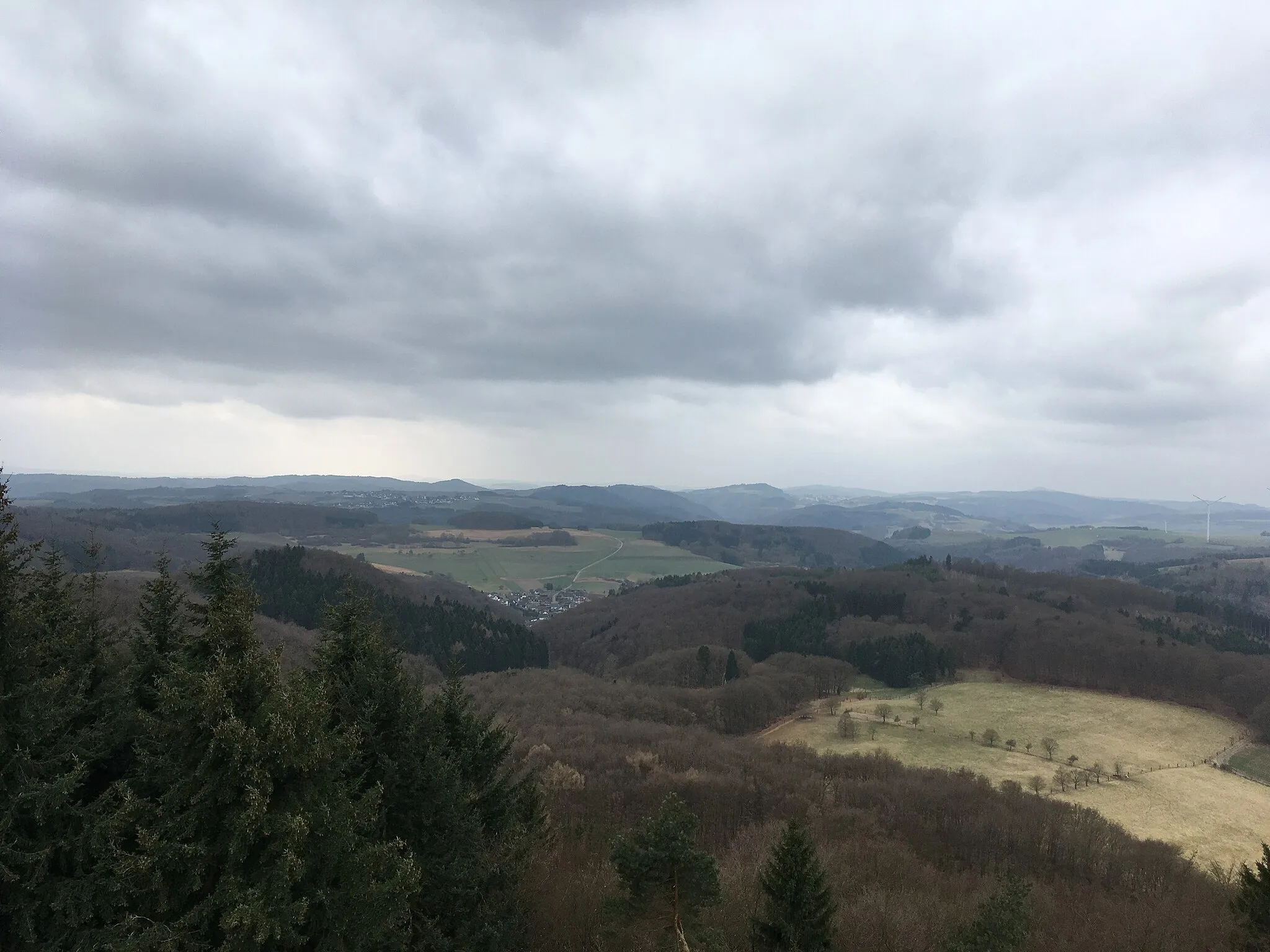 Photo showing: Der Waldseepfad Rieden ist ein rund 14 km langer Rundwanderweg in Rieden, Landkreis Mayen-Koblenz in Rheinland-Pfalz. Er ist einer von 26 Prädikatswanderwegen, die als Traumpfade vermarktet werden.