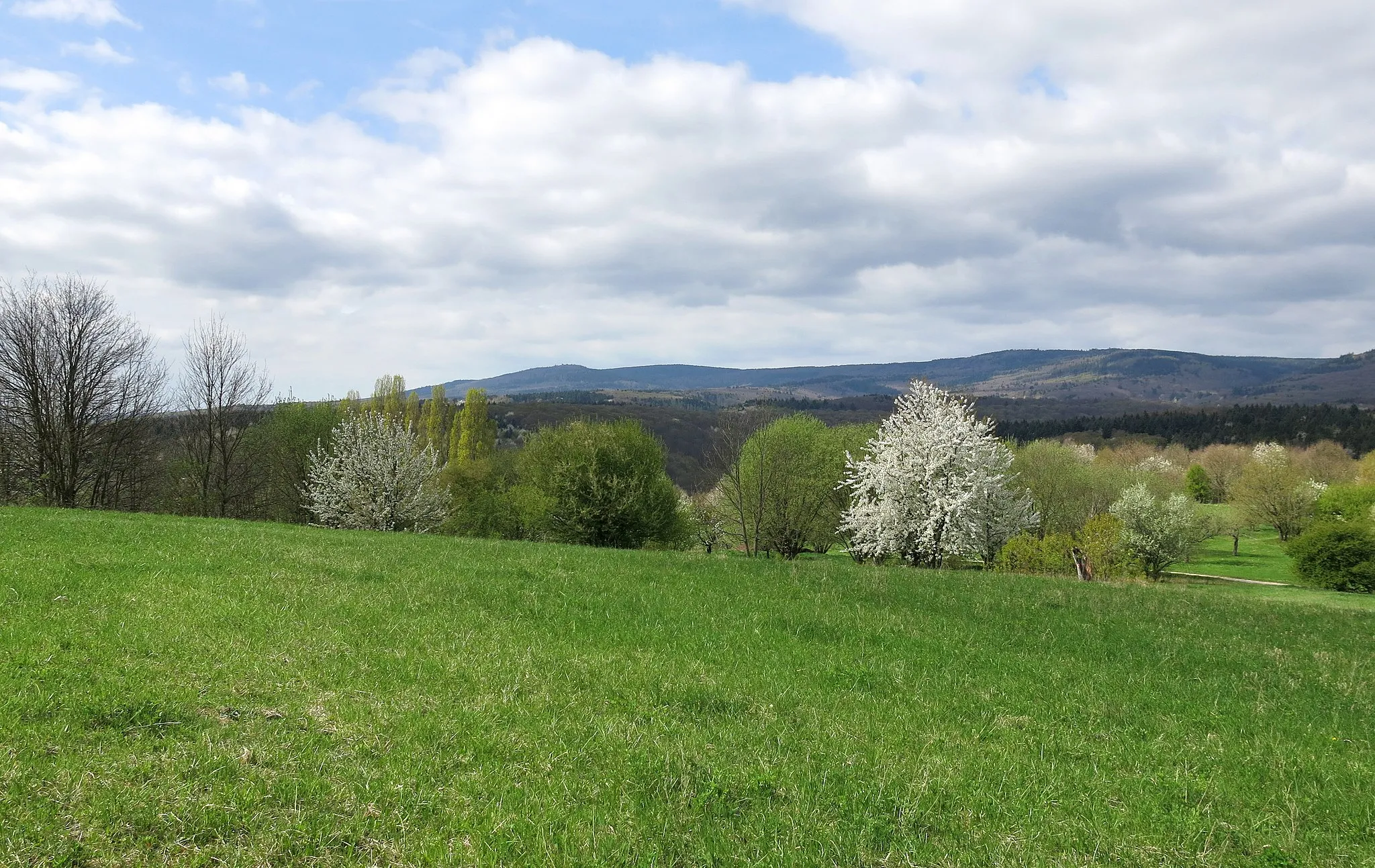 Photo showing: View from the hill Bubehäuser Höhe near Eltville westward.