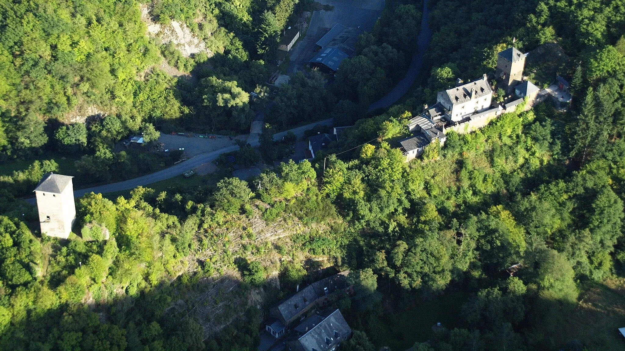 Photo showing: Burg Treis, Luftaufnahme (2015)