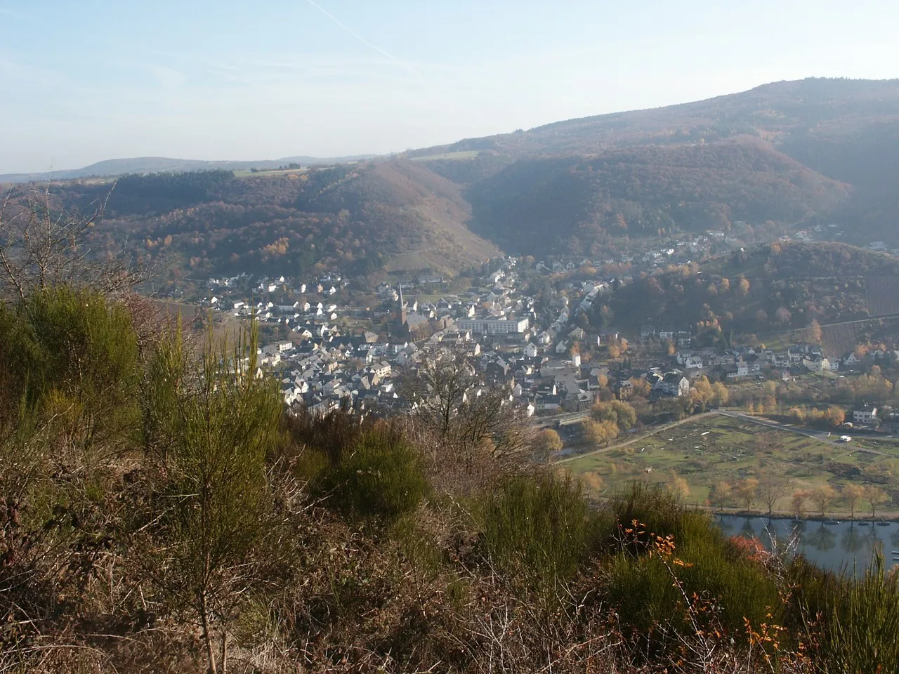 Photo showing: Blick auf Treis vom Kardener Martberg