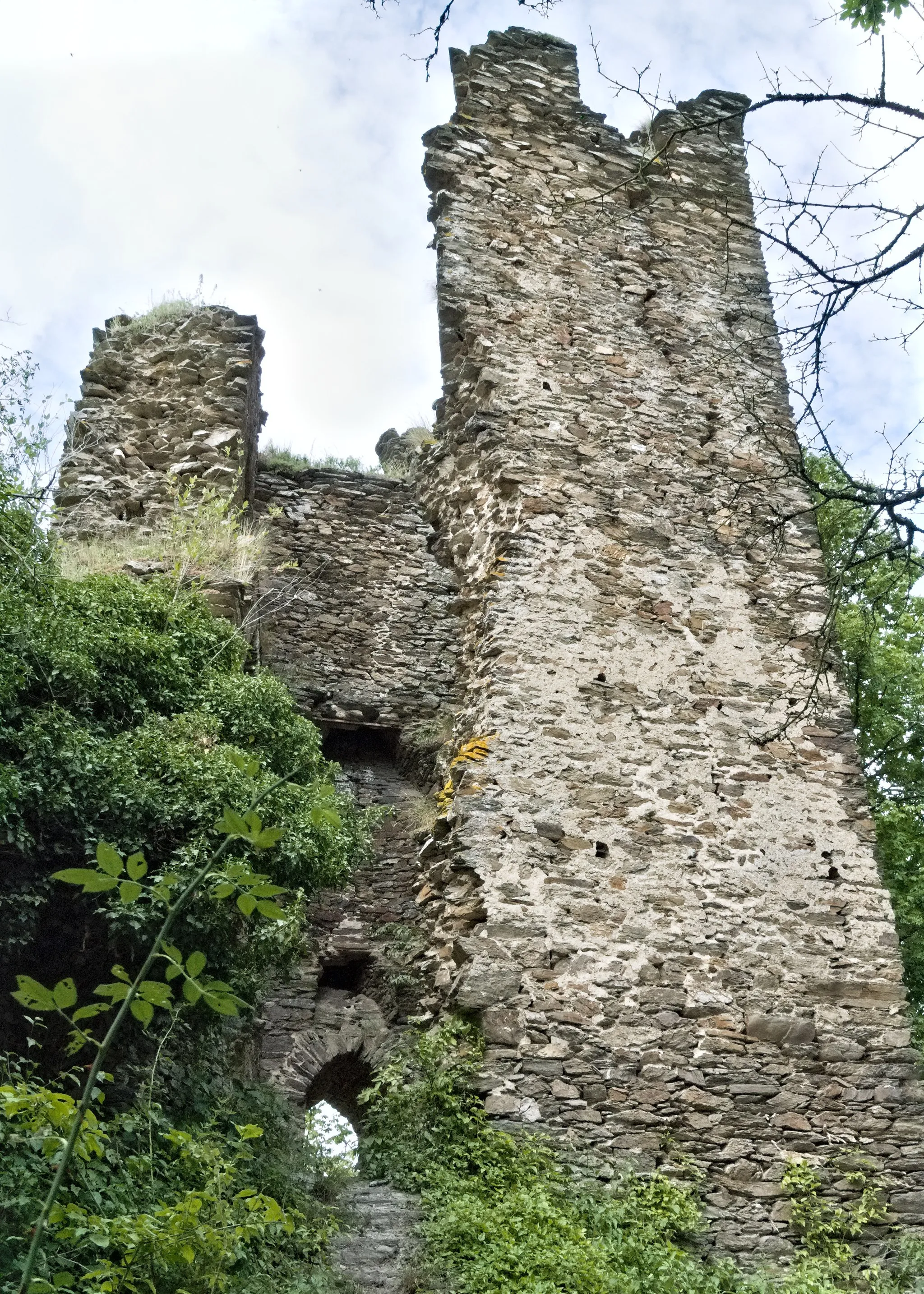 Photo showing: The keep of Rheinberg castle near Lorch, Germany. View from south-western direction.