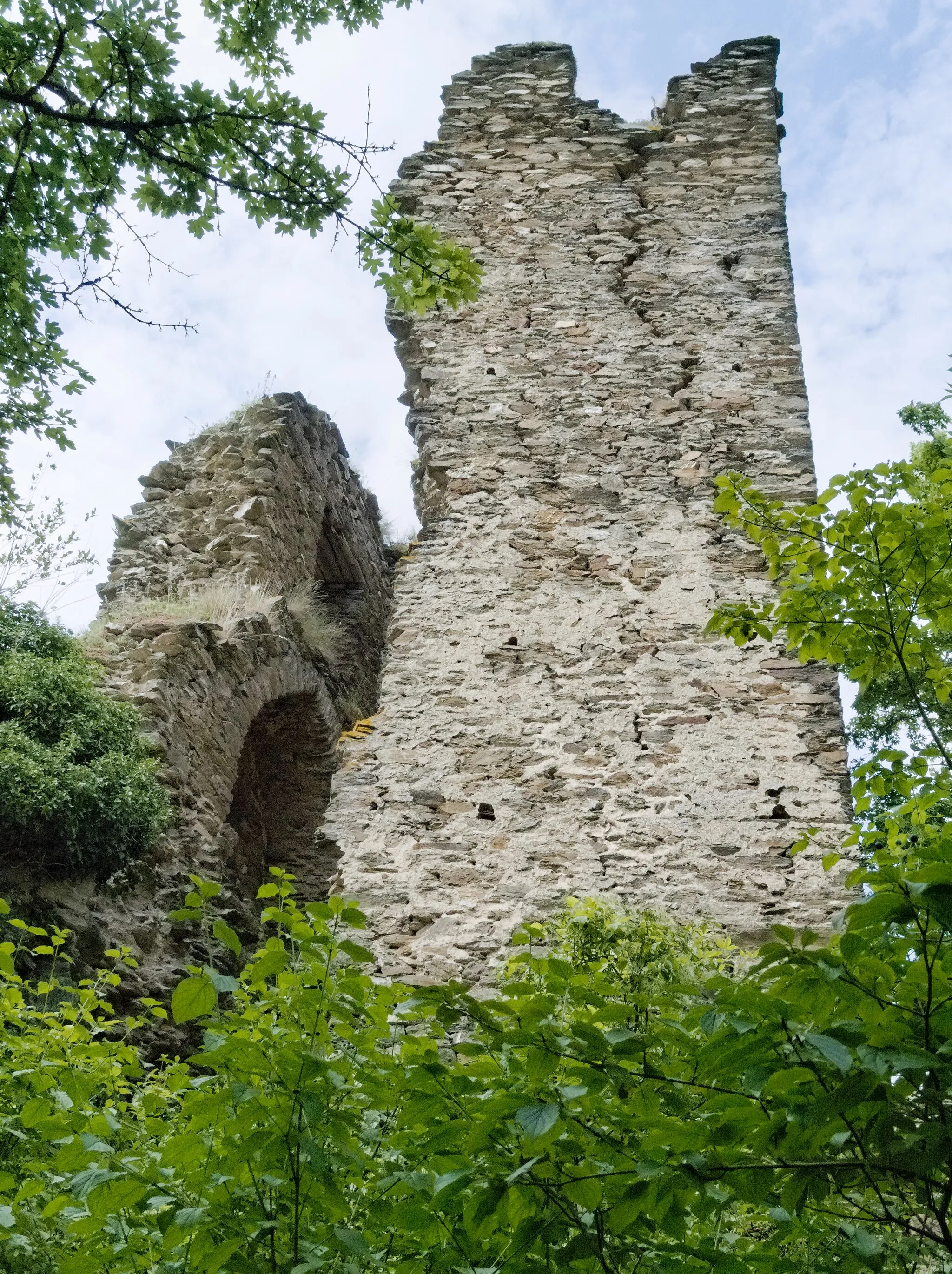 Photo showing: The keep of Rheinberg castle near Lorch, Germany. View from southern direction.