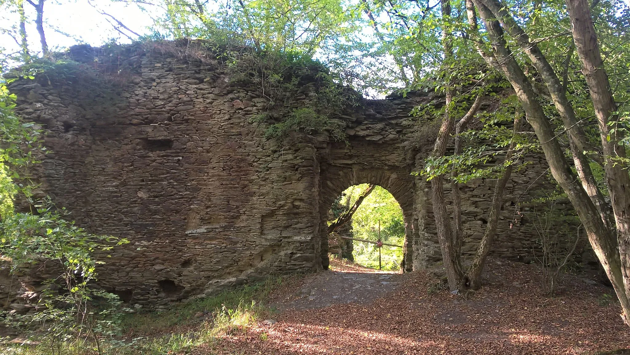 Photo showing: Rheinberg castle near Lorch, Germany. View from the gate of the outer bailey.