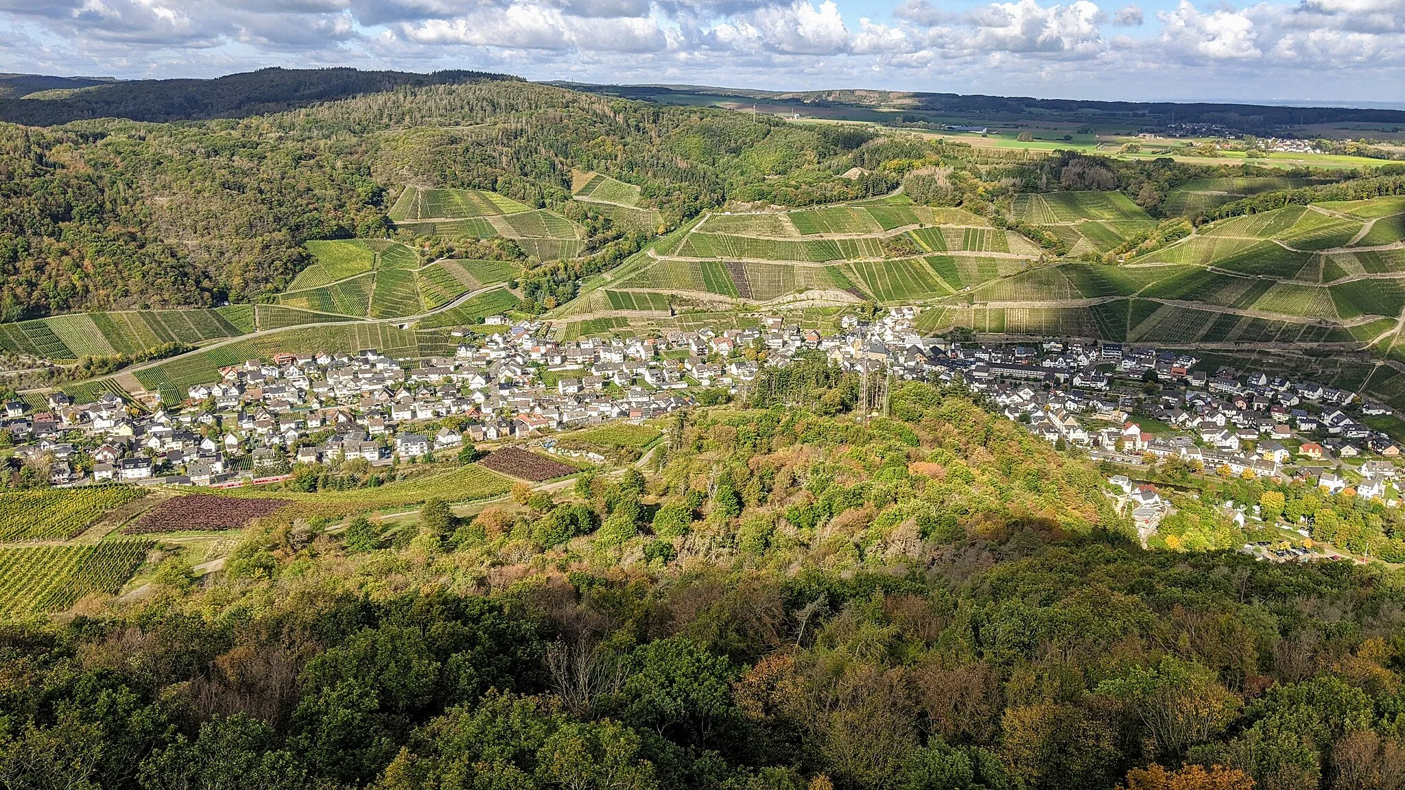 Photo showing: Dernau vom Krausbergturm