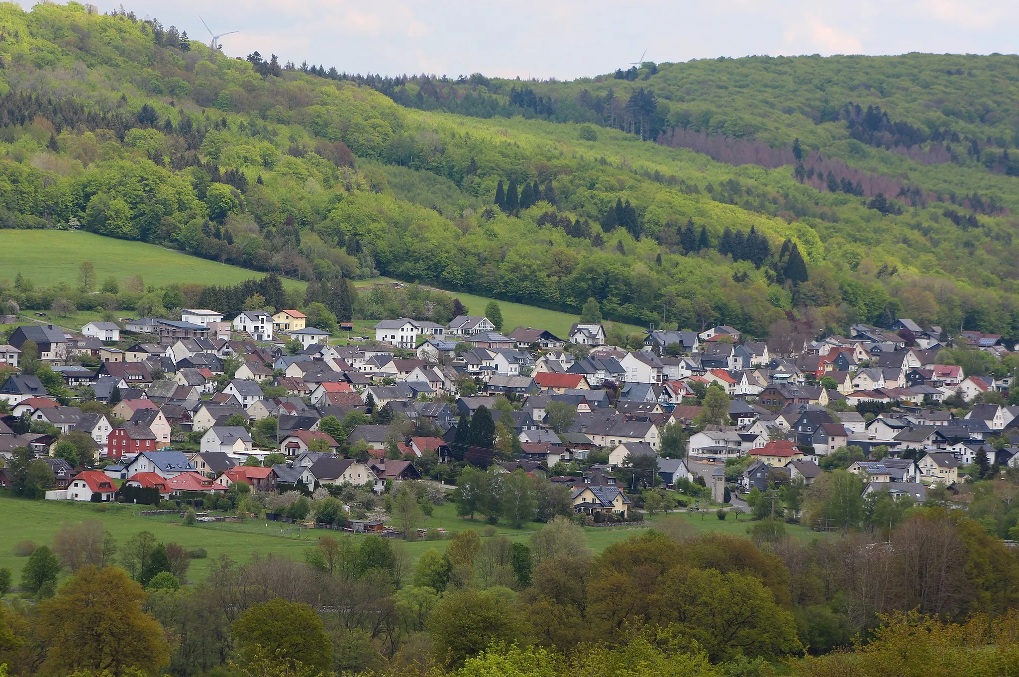 Photo showing: Panorama von Nister, Gemeinde im Westerwald