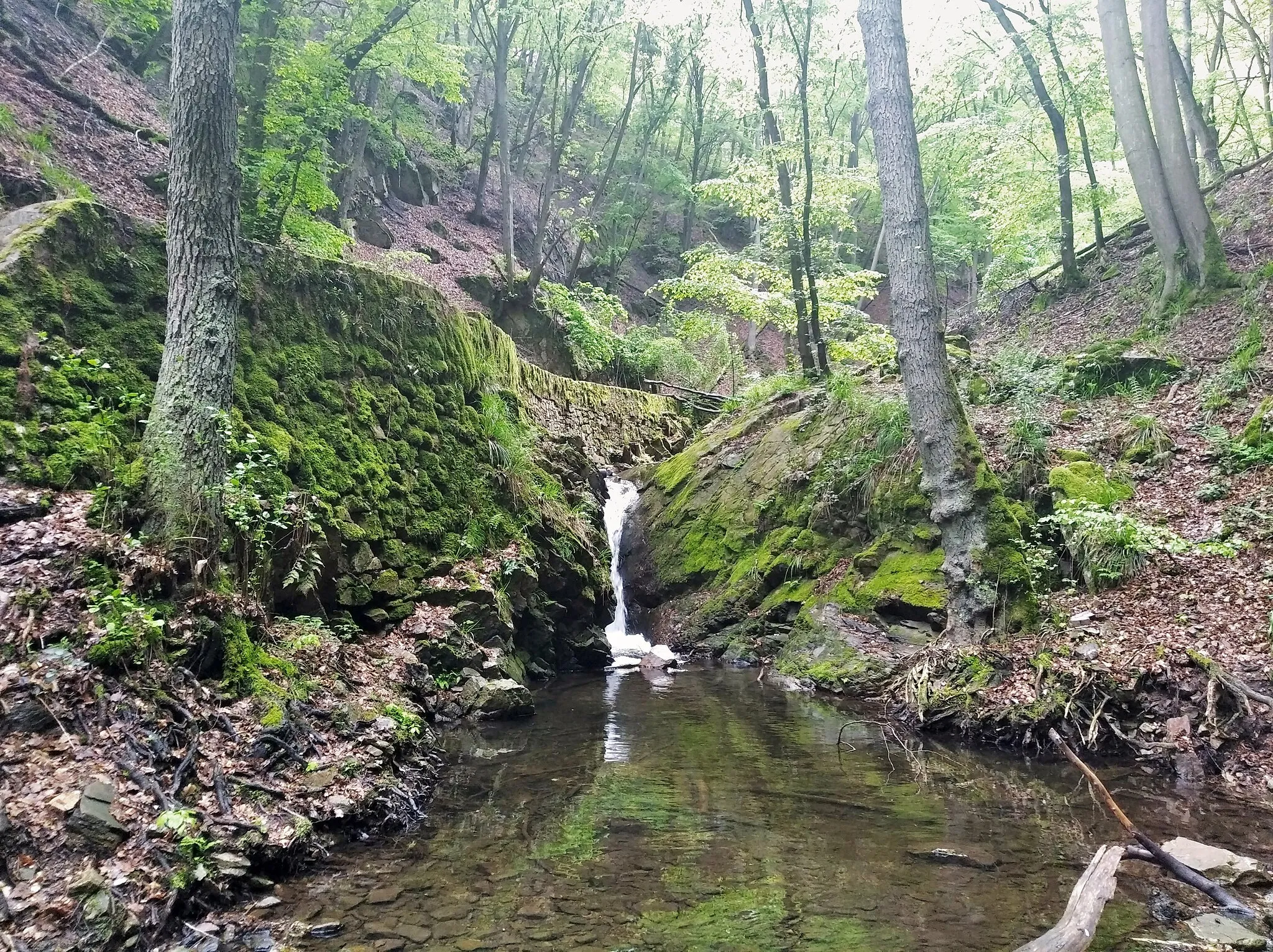 Photo showing: An Rippen des die Kämme von Hunsrück und Taunus in Rippen durchziehnden Taunusquarzits hat der Morgenbach kleine Wasserfälle gebildet (der größte untere Fall ist nicht zugänglich).