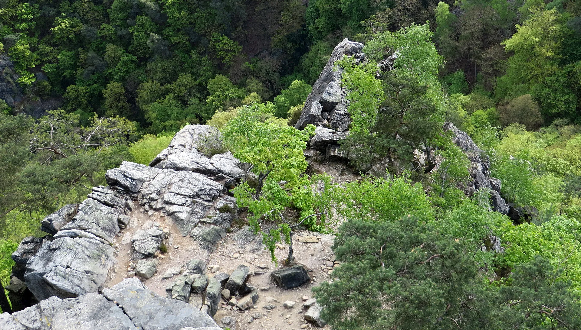 Photo showing: Morgenbachtal: Klettergebiet am Rhein, in der Nähe von Bingen am Rhein (Info: http://dav-mainz.de/huette-wege-einrichtungen/morgenbachtal/); der Bereich liegt im Landkreis Mainz-Bingen und im LSG „Rheingebiet von Bingen bis Koblenz“ (LSG-71-1); je nach konkreter Lage eventuell auch im NSG „Morgenbachtal“